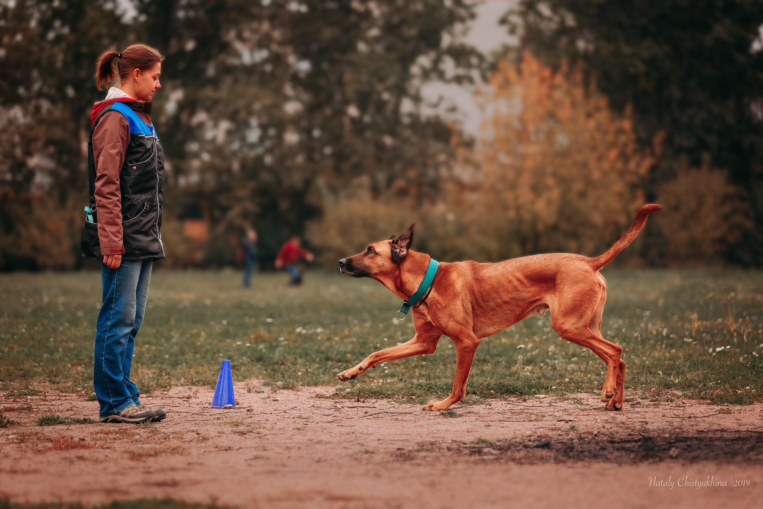 Соревнования «Петровская осень». Фотограф-анималист Наталия Чистюхина в г. Сосновый Бор и ЛО