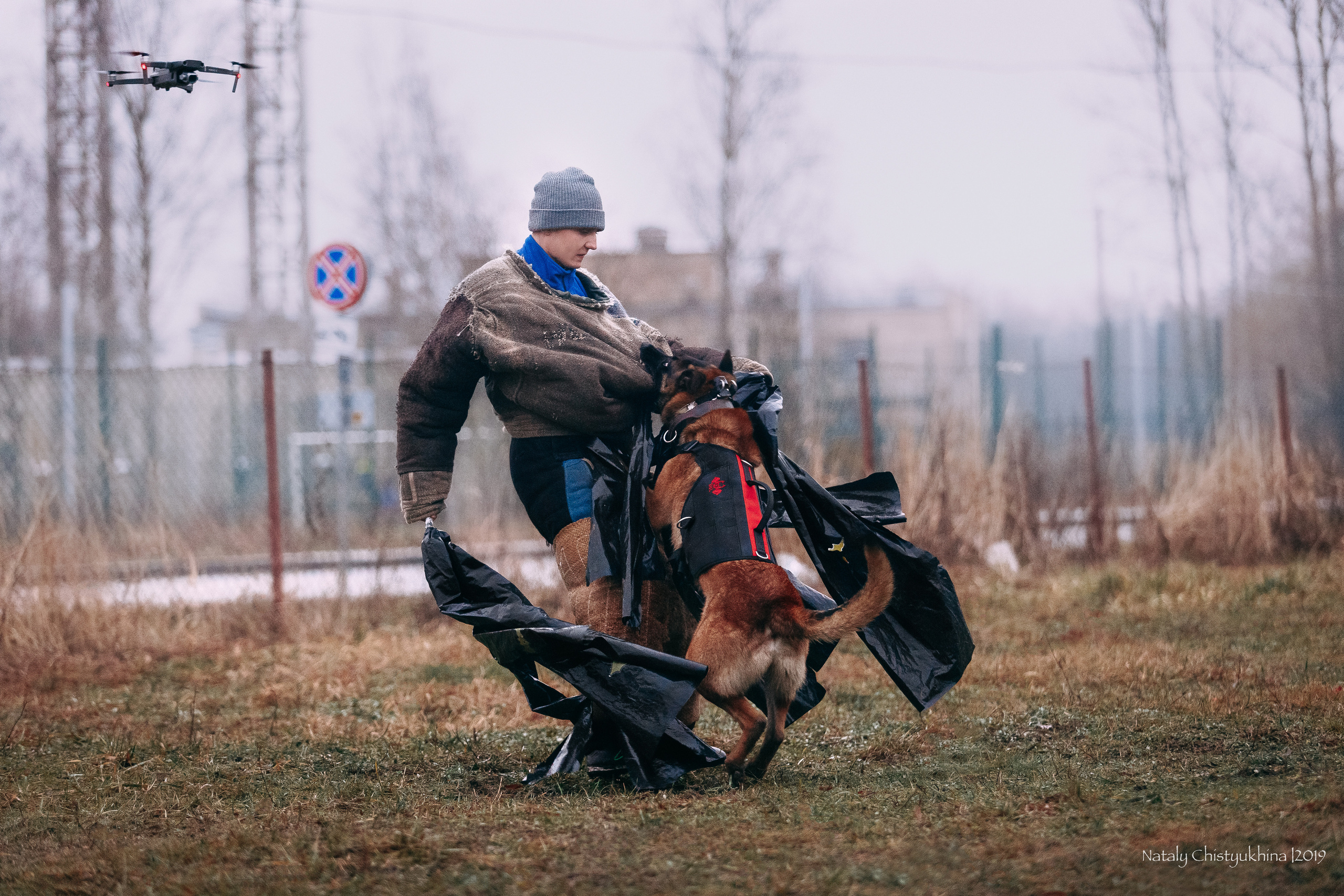 Семинары по мондио. Фотограф-анималист Наталия Чистюхина в г. Сосновый Бор и ЛО