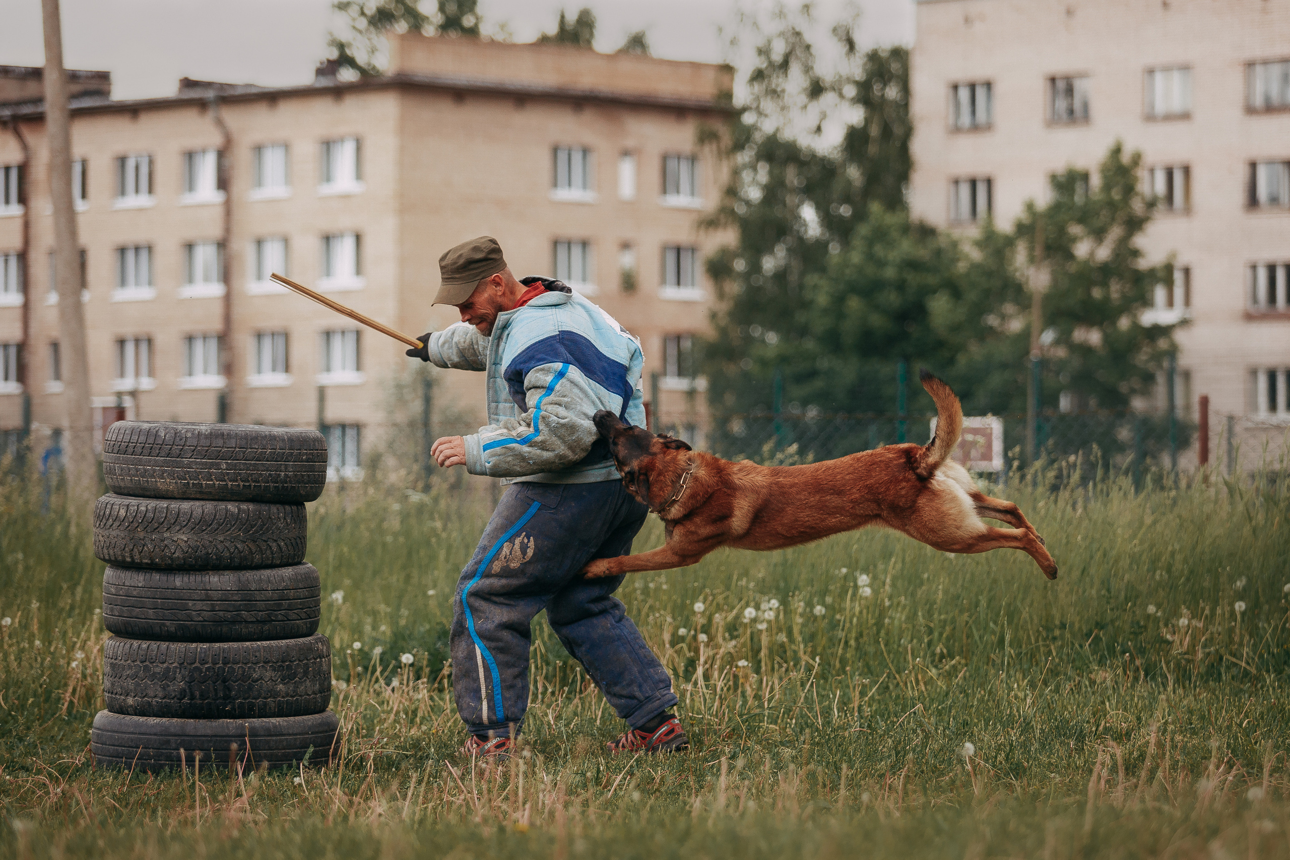 Мондьоринг в СПб. Фотограф-анималист Наталия Чистюхина в г. Сосновый Бор и ЛО
