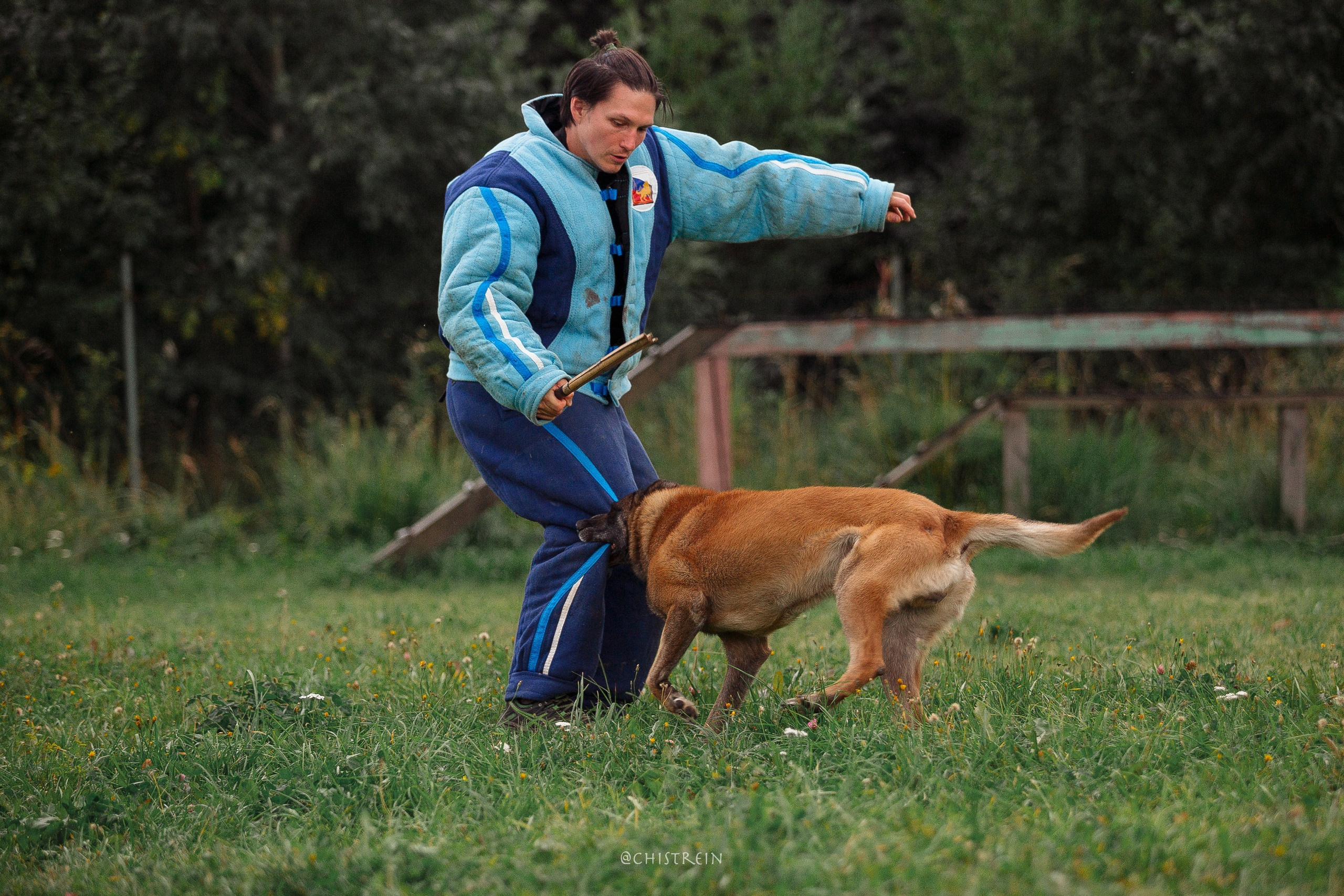 Семинары по мондио. Фотограф-анималист Наталия Чистюхина в г. Сосновый Бор и ЛО