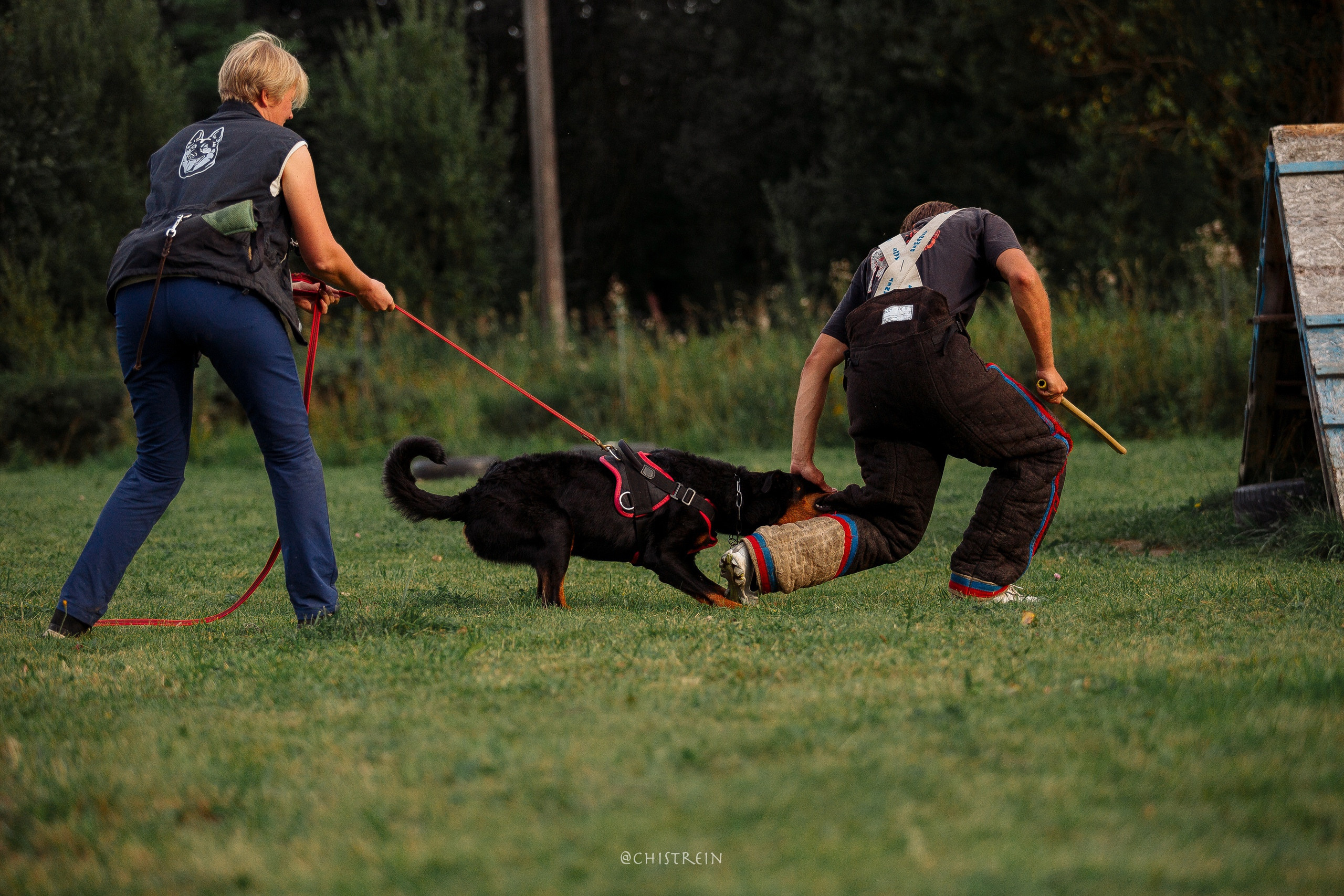 Семинары по мондио. Фотограф-анималист Наталия Чистюхина в г. Сосновый Бор и ЛО