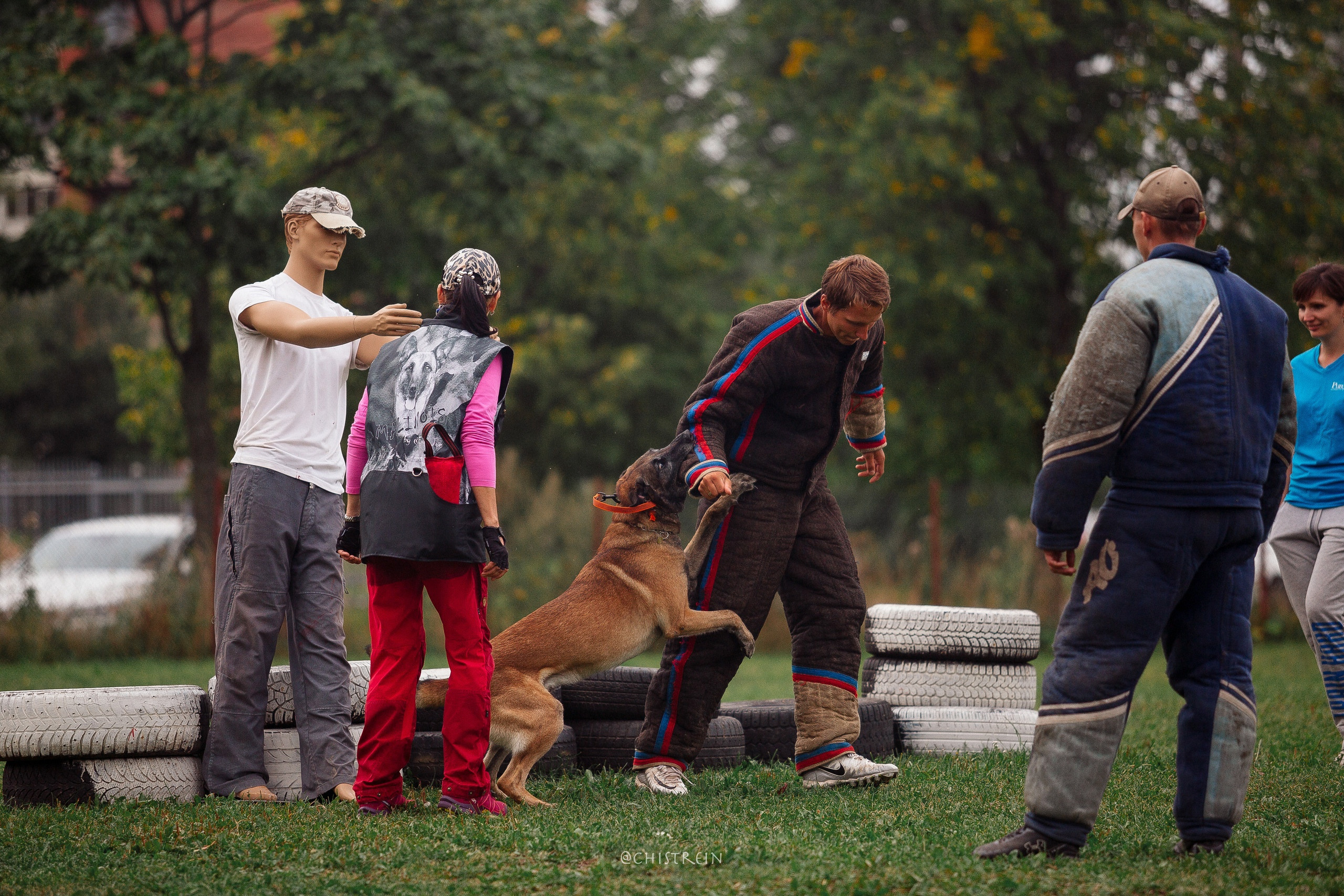 Семинары по мондио. Фотограф-анималист Наталия Чистюхина в г. Сосновый Бор и ЛО