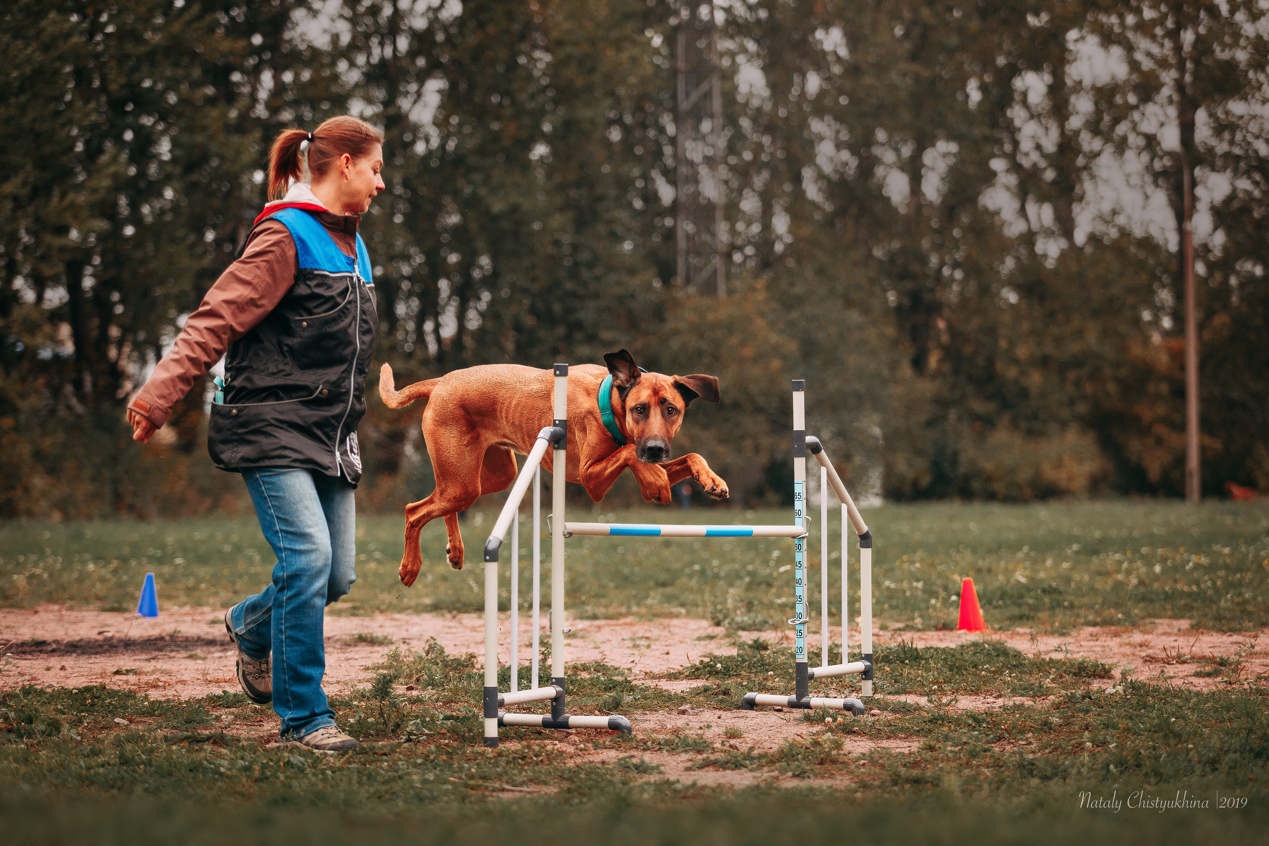 Соревнования «Петровская осень». Фотограф-анималист Наталия Чистюхина в г. Сосновый Бор и ЛО