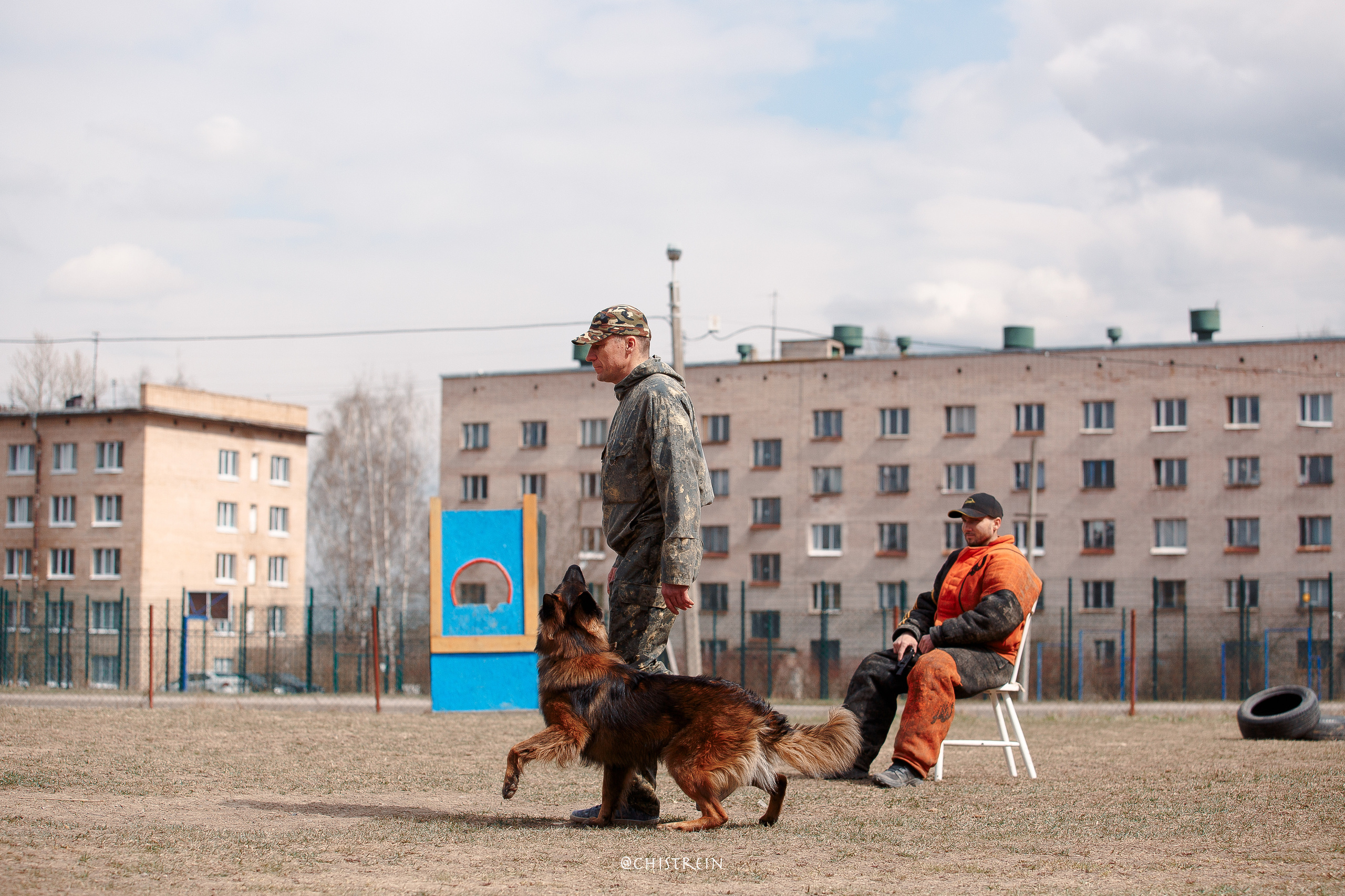 Большой Русский Ринг. Фотограф-анималист Наталия Чистюхина в г. Сосновый Бор и ЛО
