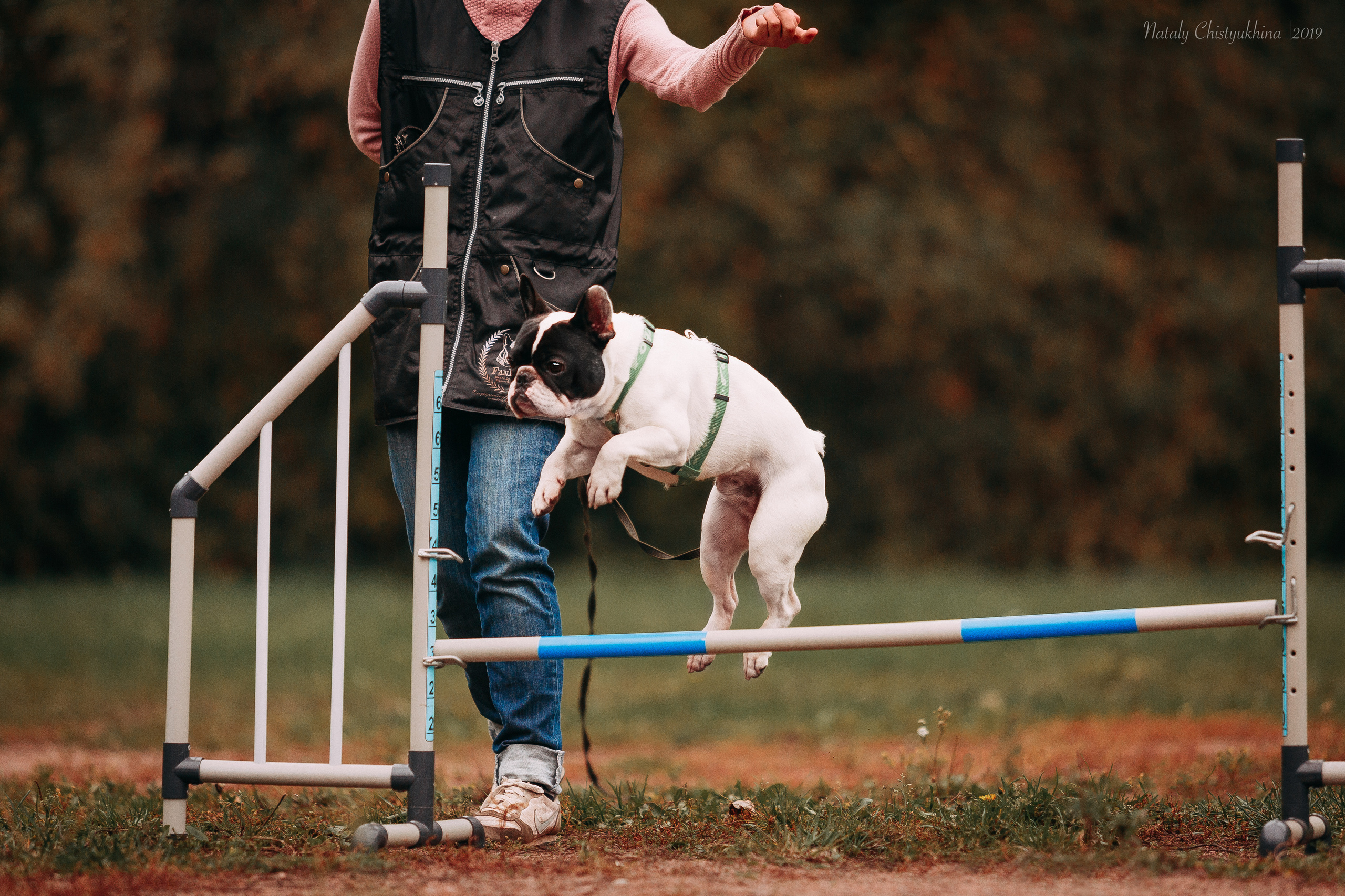 Соревнования «Петровская осень». Фотограф-анималист Наталия Чистюхина в г. Сосновый Бор и ЛО