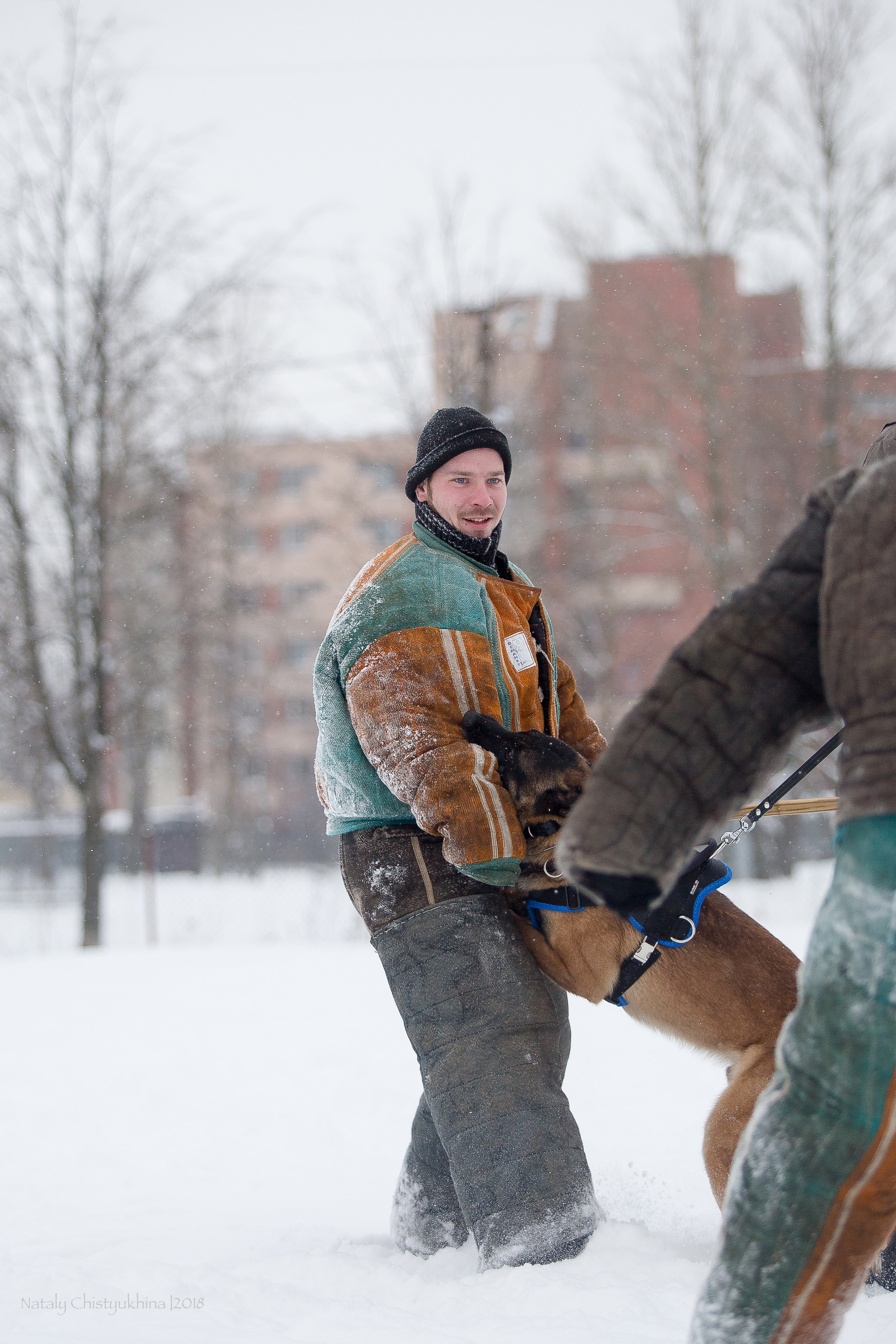 Семинары по мондио. Фотограф-анималист Наталия Чистюхина в г. Сосновый Бор и ЛО
