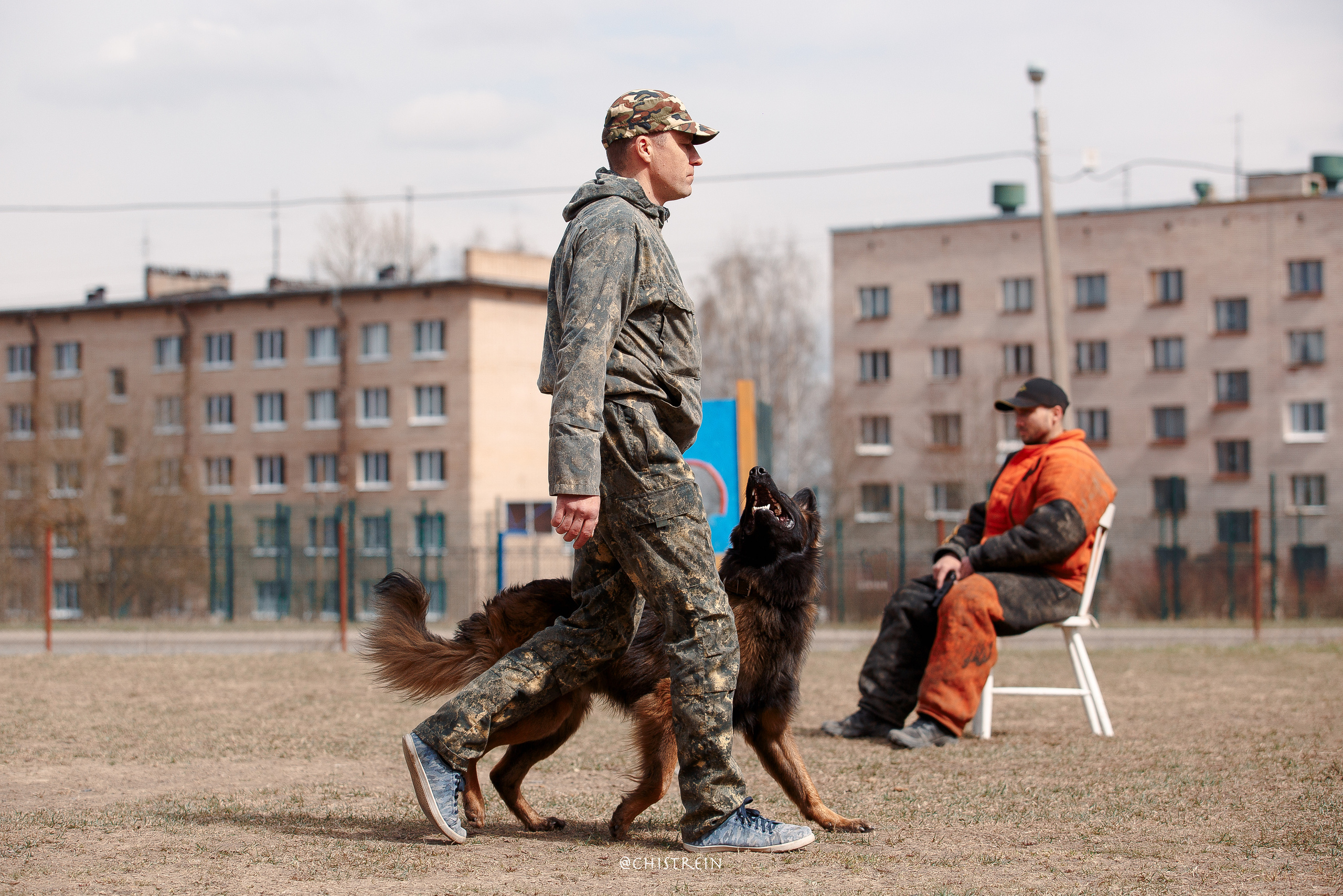 Большой Русский Ринг. Фотограф-анималист Наталия Чистюхина в г. Сосновый Бор и ЛО