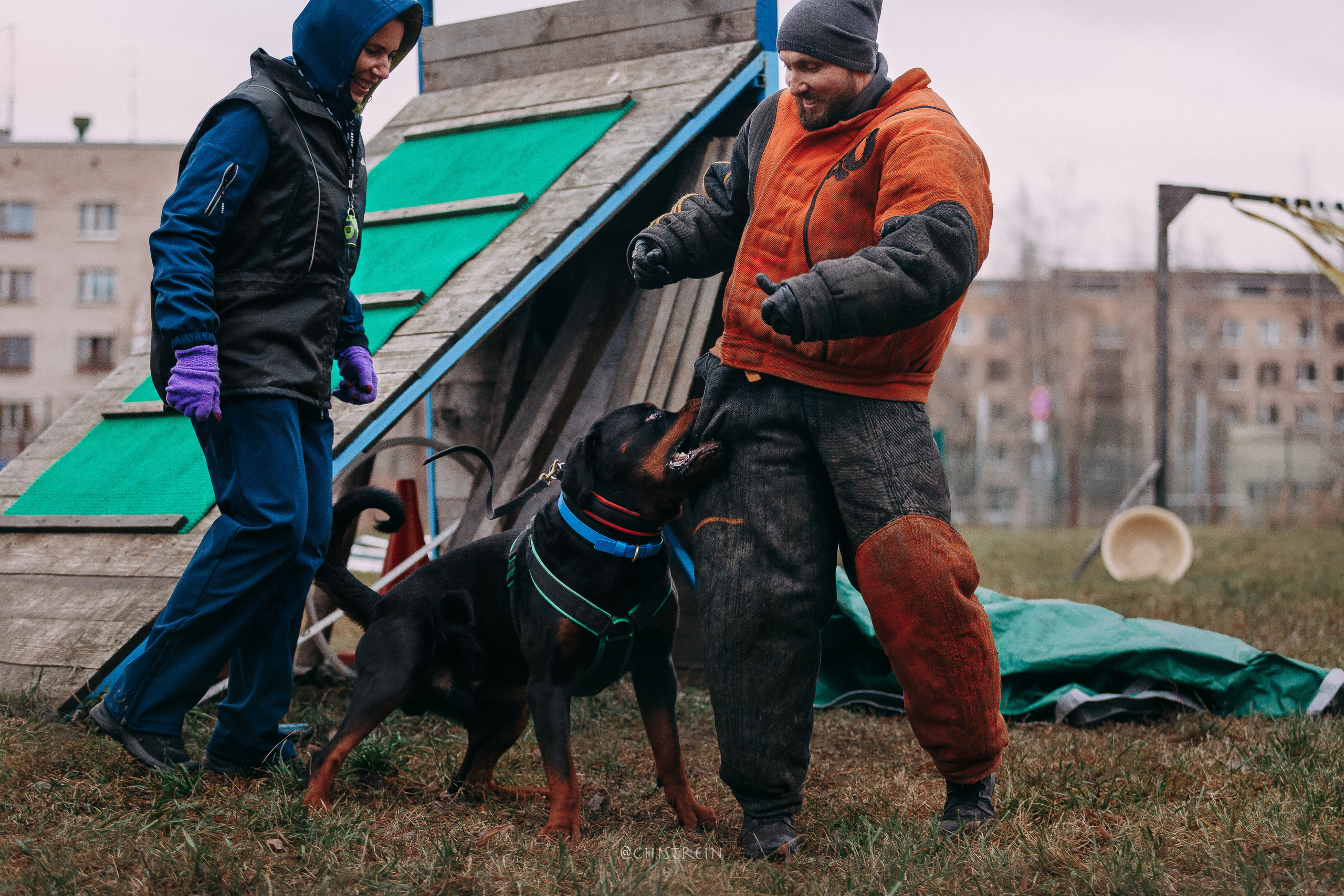 Мондьоринг в СПб. Фотограф-анималист Наталия Чистюхина в г. Сосновый Бор и ЛО