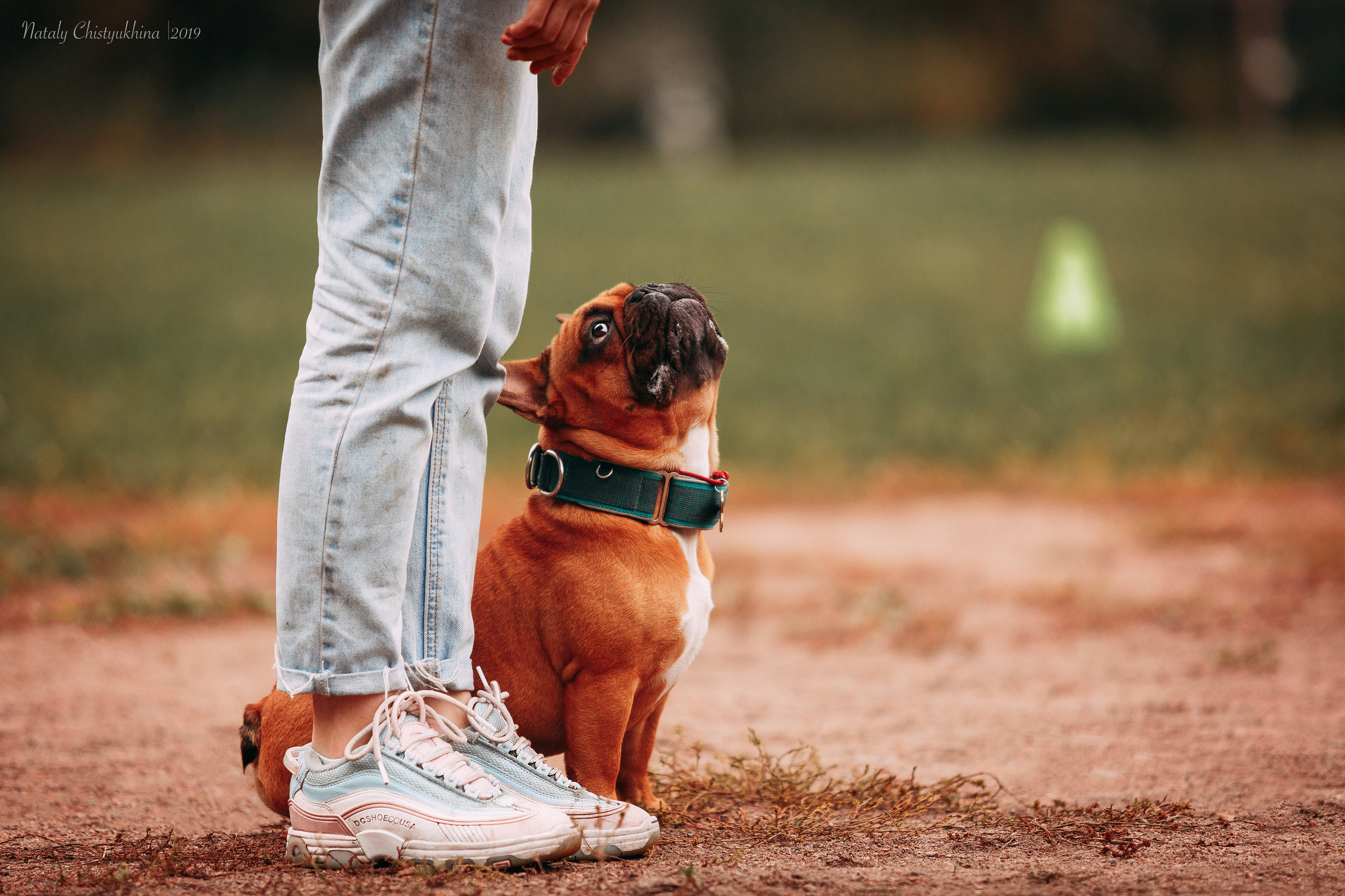 Соревнования «Петровская осень». Фотограф-анималист Наталия Чистюхина в г. Сосновый Бор и ЛО