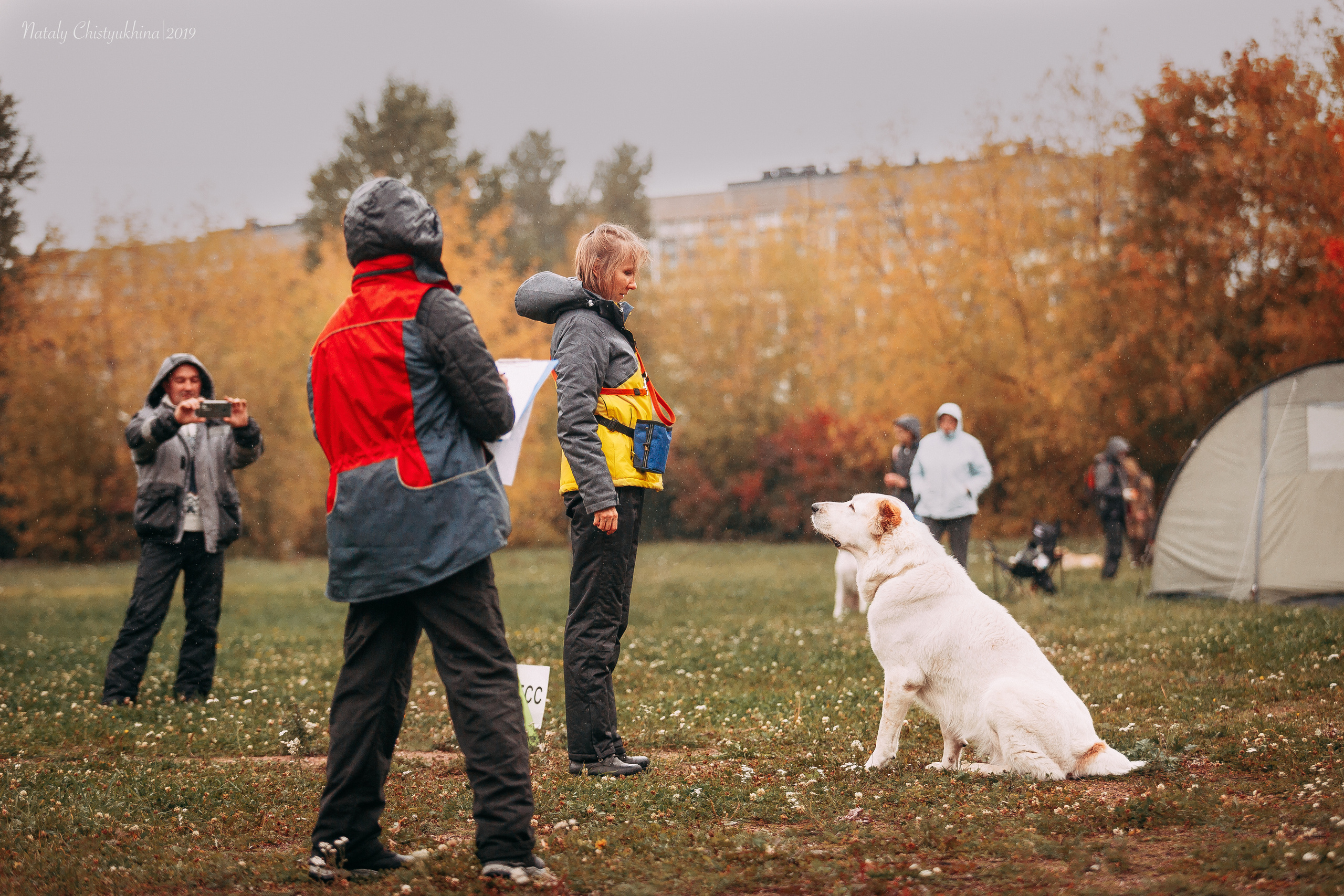 Соревнования «Петровская осень». Фотограф-анималист Наталия Чистюхина в г. Сосновый Бор и ЛО