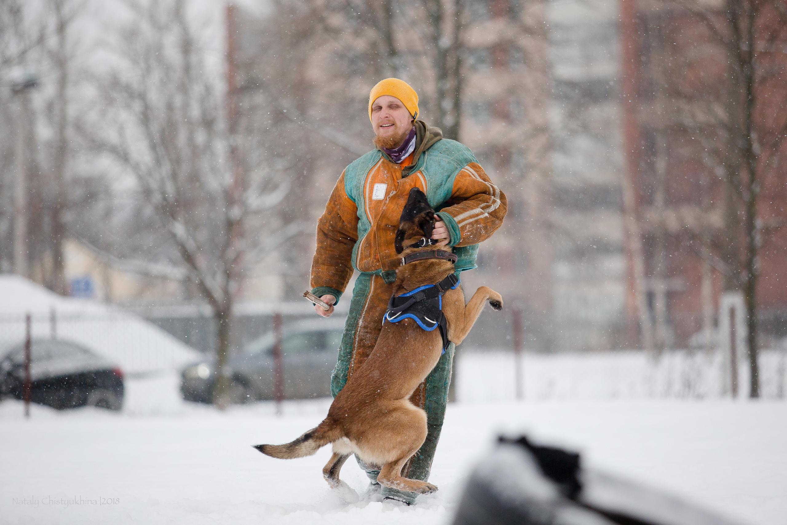 Семинары по мондио. Фотограф-анималист Наталия Чистюхина в г. Сосновый Бор и ЛО