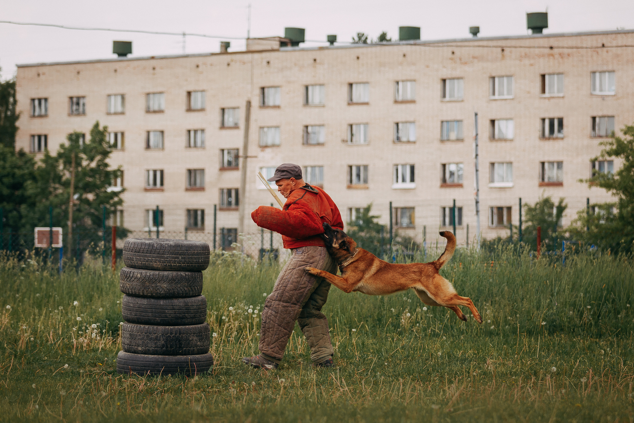 Мондьоринг в СПб. Фотограф-анималист Наталия Чистюхина в г. Сосновый Бор и ЛО