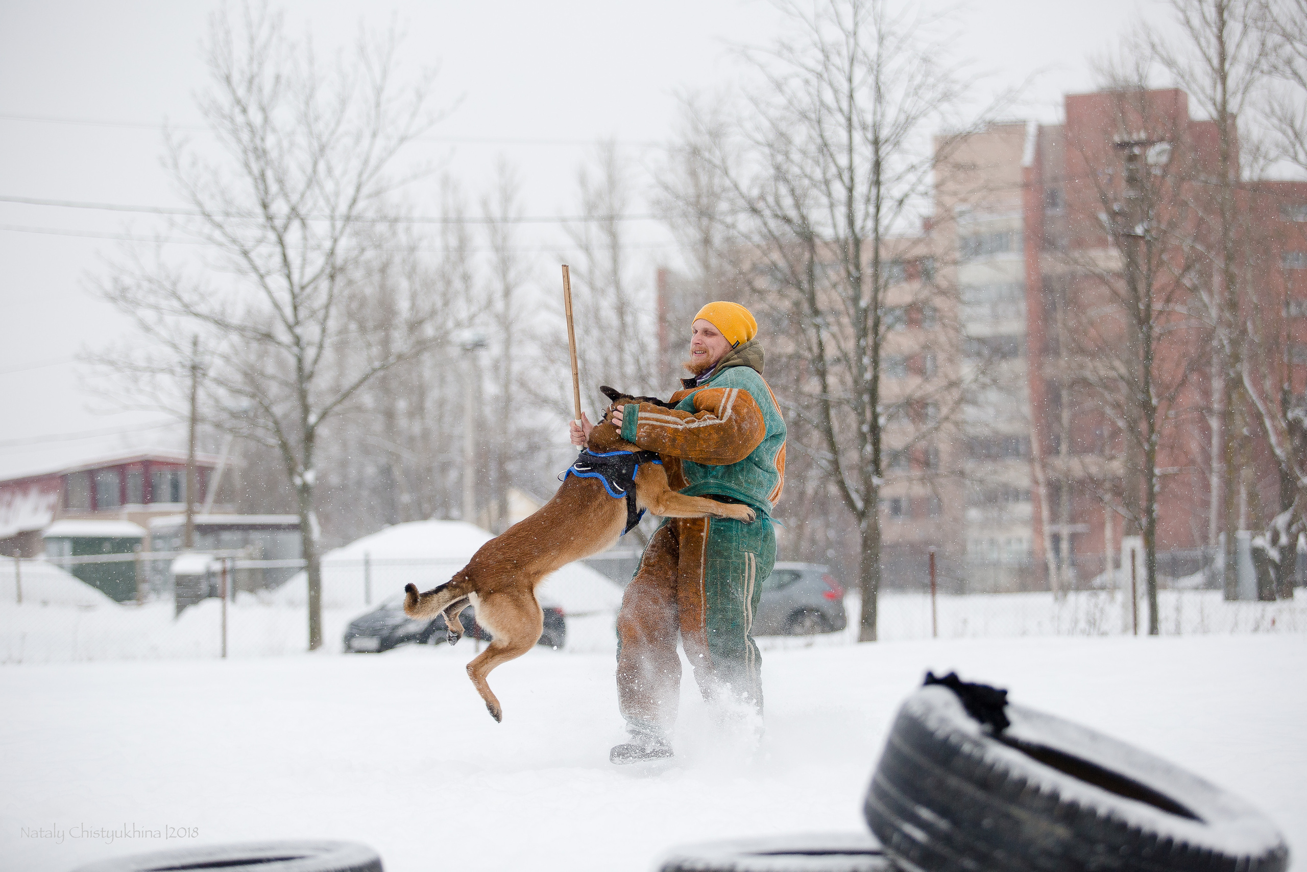Семинары по мондио. Фотограф-анималист Наталия Чистюхина в г. Сосновый Бор и ЛО