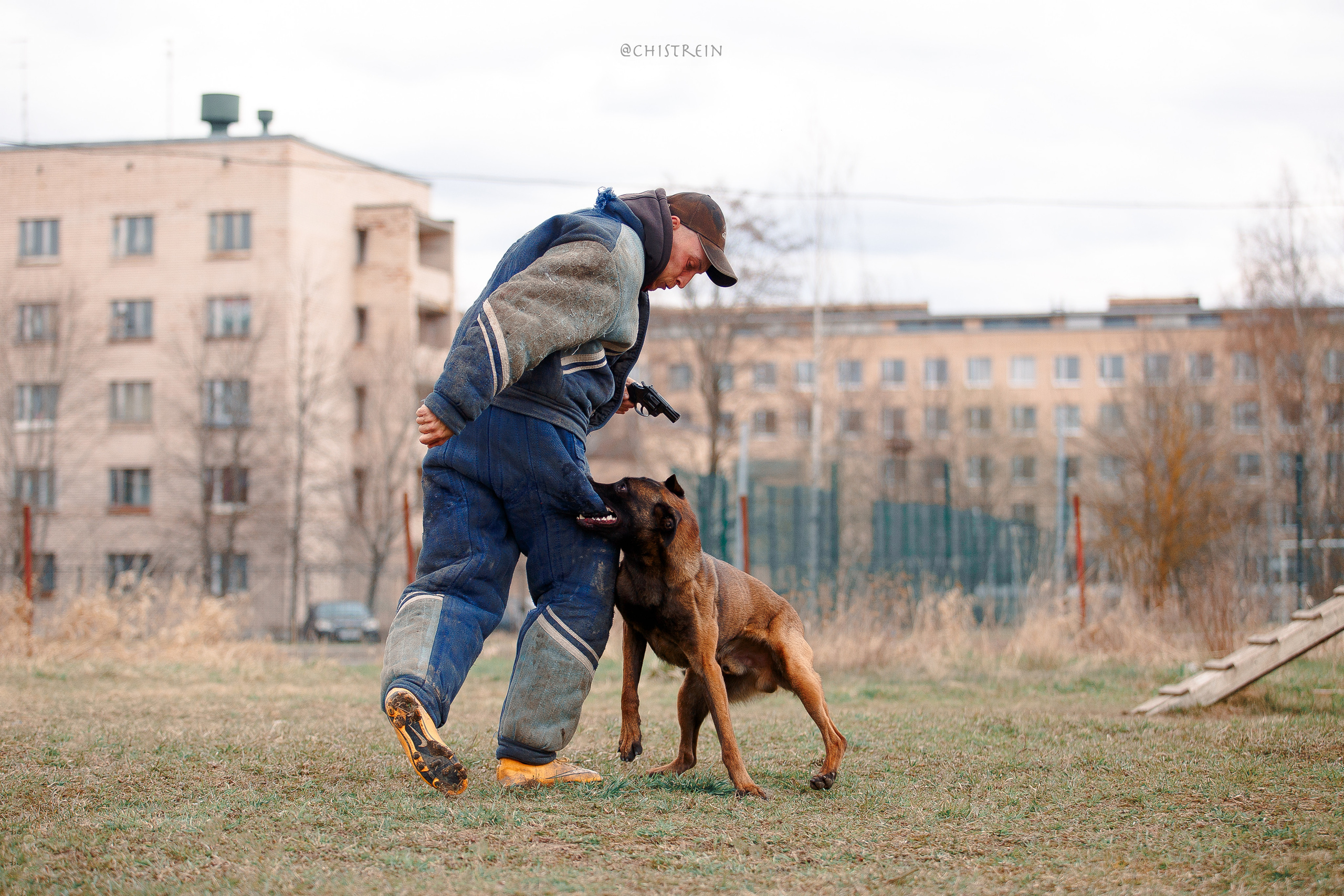 Мондьоринг в СПб. Фотограф-анималист Наталия Чистюхина в г. Сосновый Бор и ЛО
