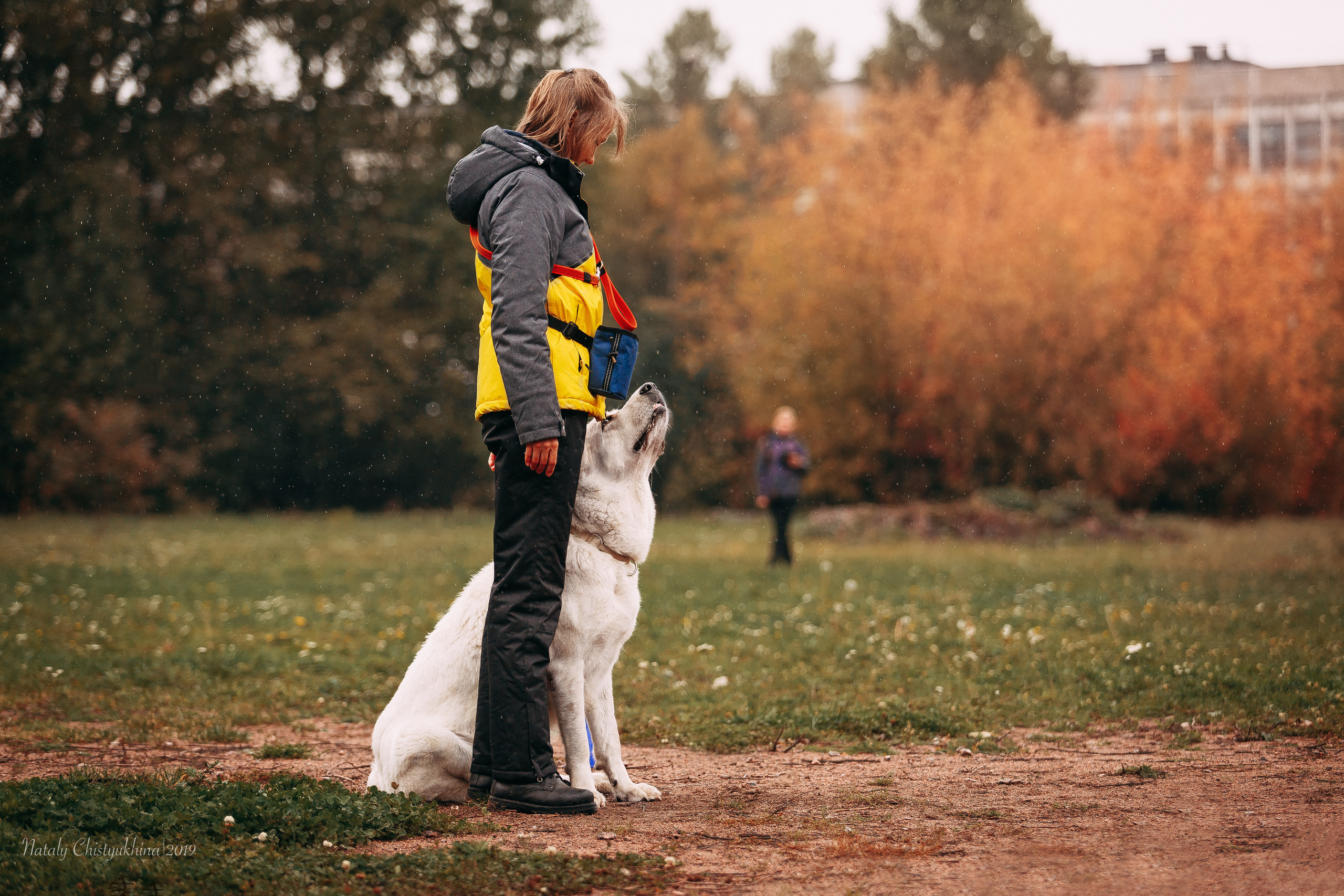 Соревнования «Петровская осень». Фотограф-анималист Наталия Чистюхина в г. Сосновый Бор и ЛО