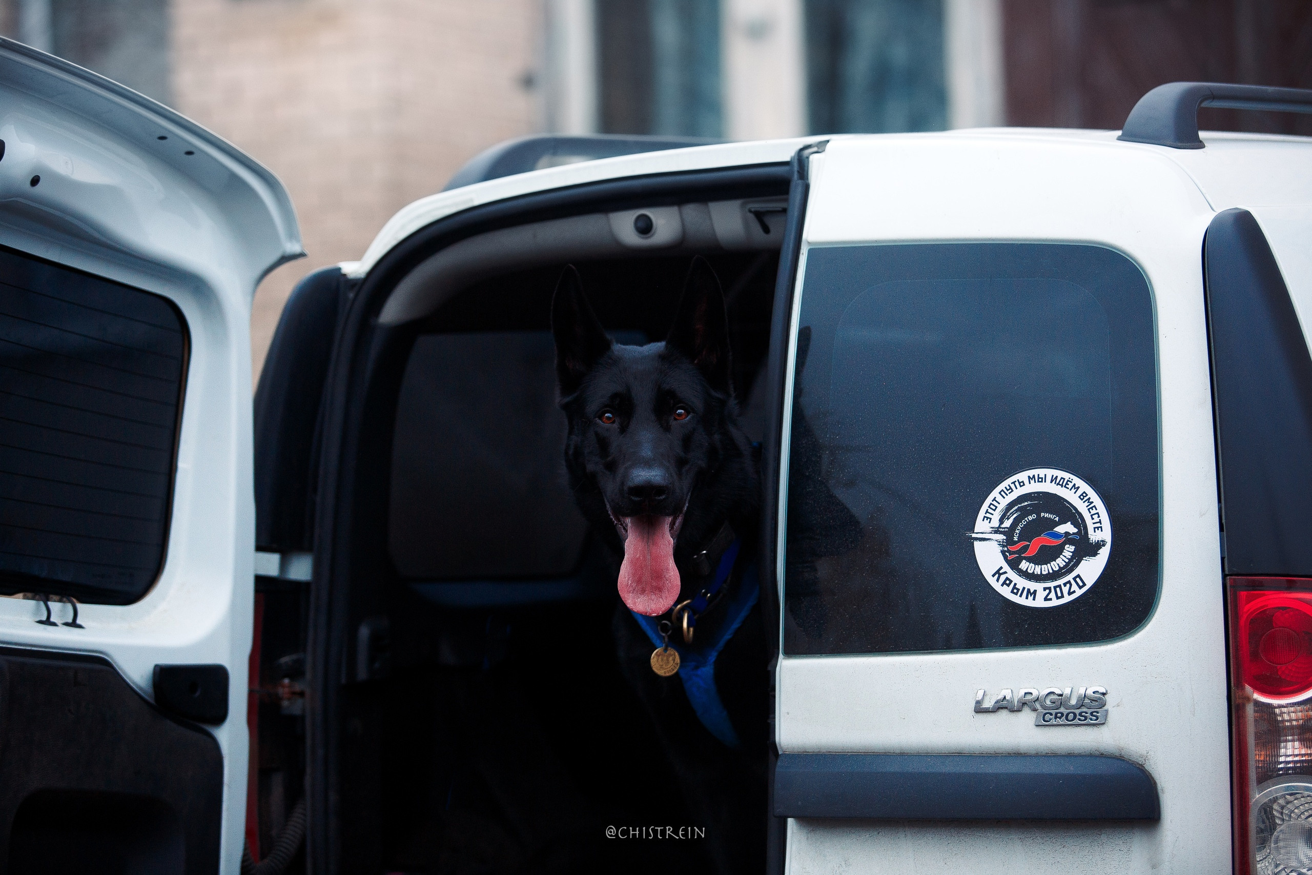 Мондьоринг в СПб. Фотограф-анималист Наталия Чистюхина в г. Сосновый Бор и ЛО