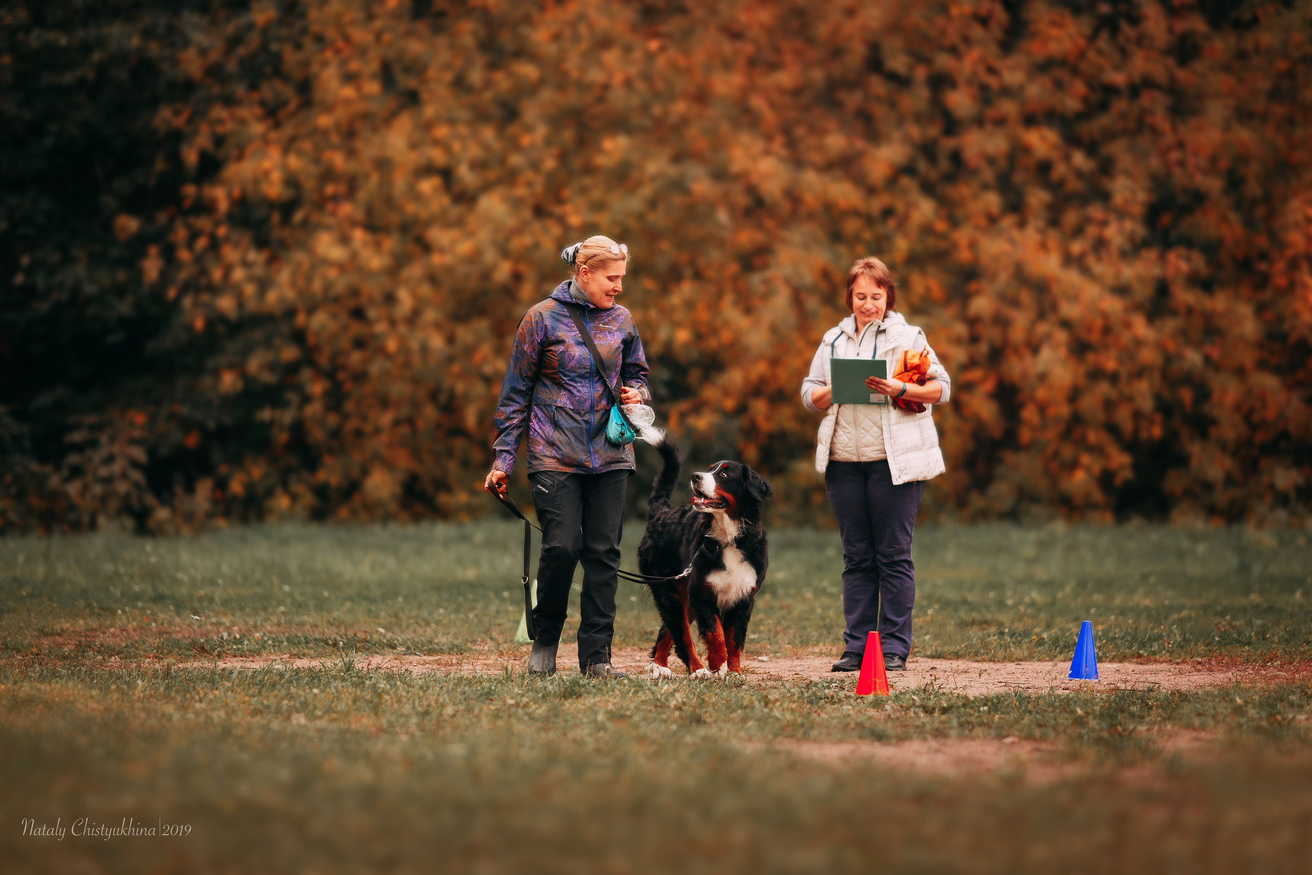Соревнования «Петровская осень». Фотограф-анималист Наталия Чистюхина в г. Сосновый Бор и ЛО