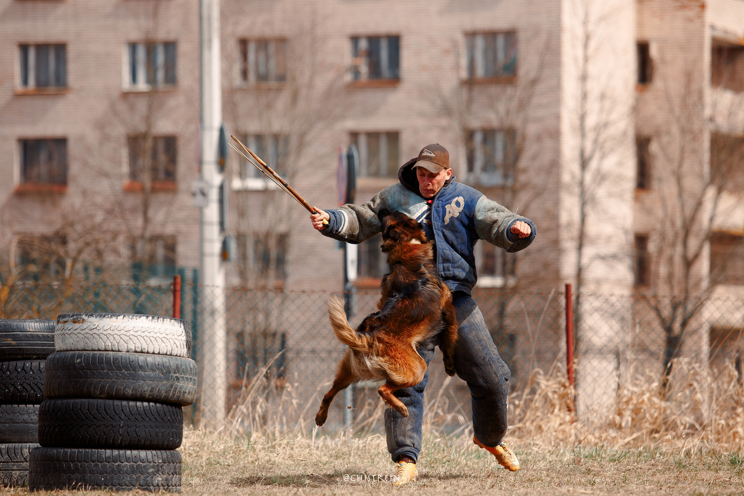 Большой Русский Ринг. Фотограф-анималист Наталия Чистюхина в г. Сосновый Бор и ЛО
