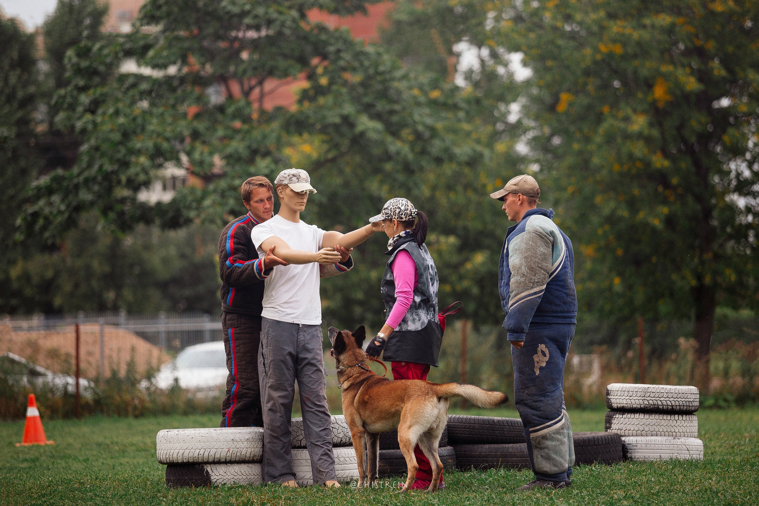 Семинары по мондио. Фотограф-анималист Наталия Чистюхина в г. Сосновый Бор и ЛО