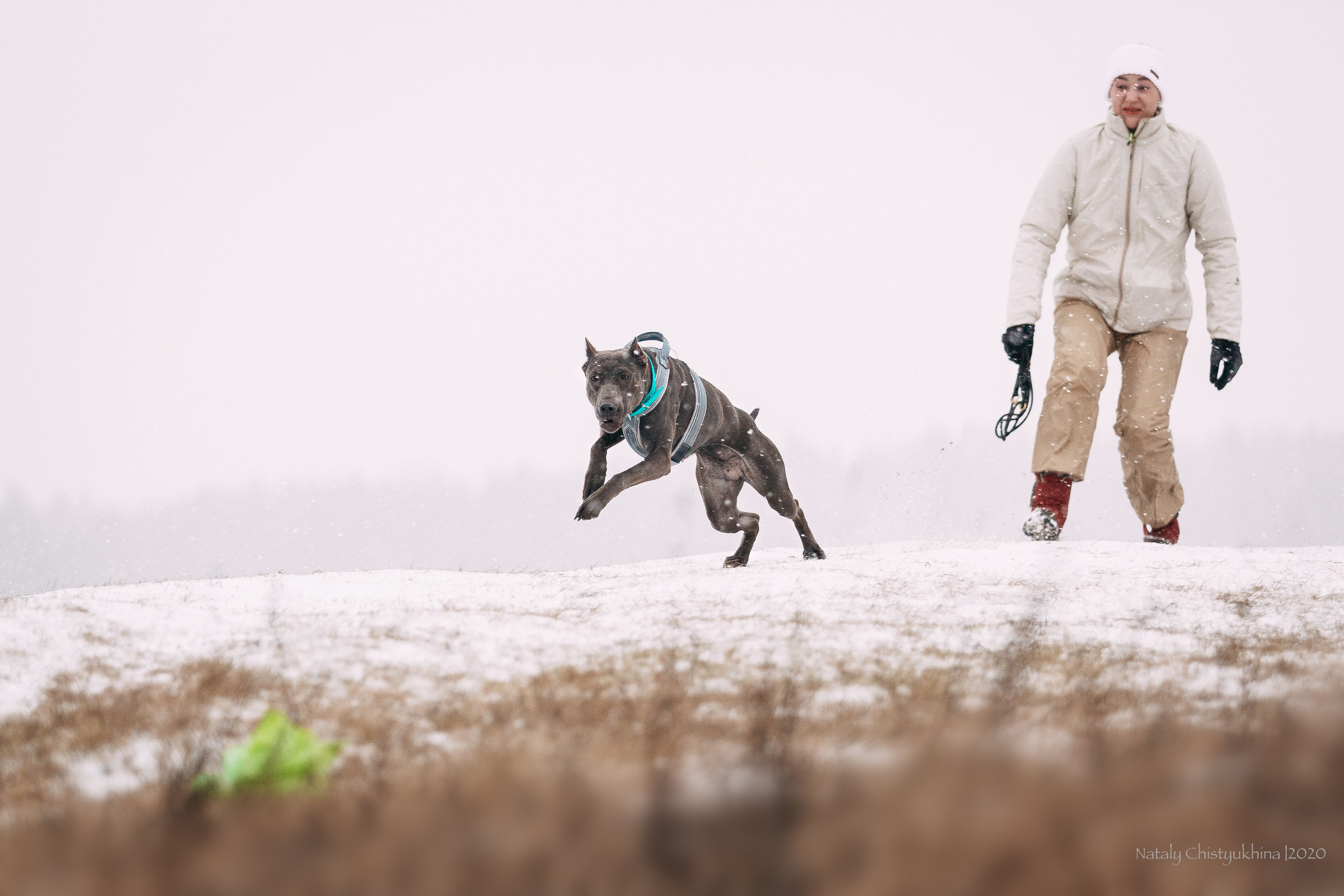 Курсинг. Колтуши. Фотограф-анималист Наталия Чистюхина в г. Сосновый Бор и ЛО