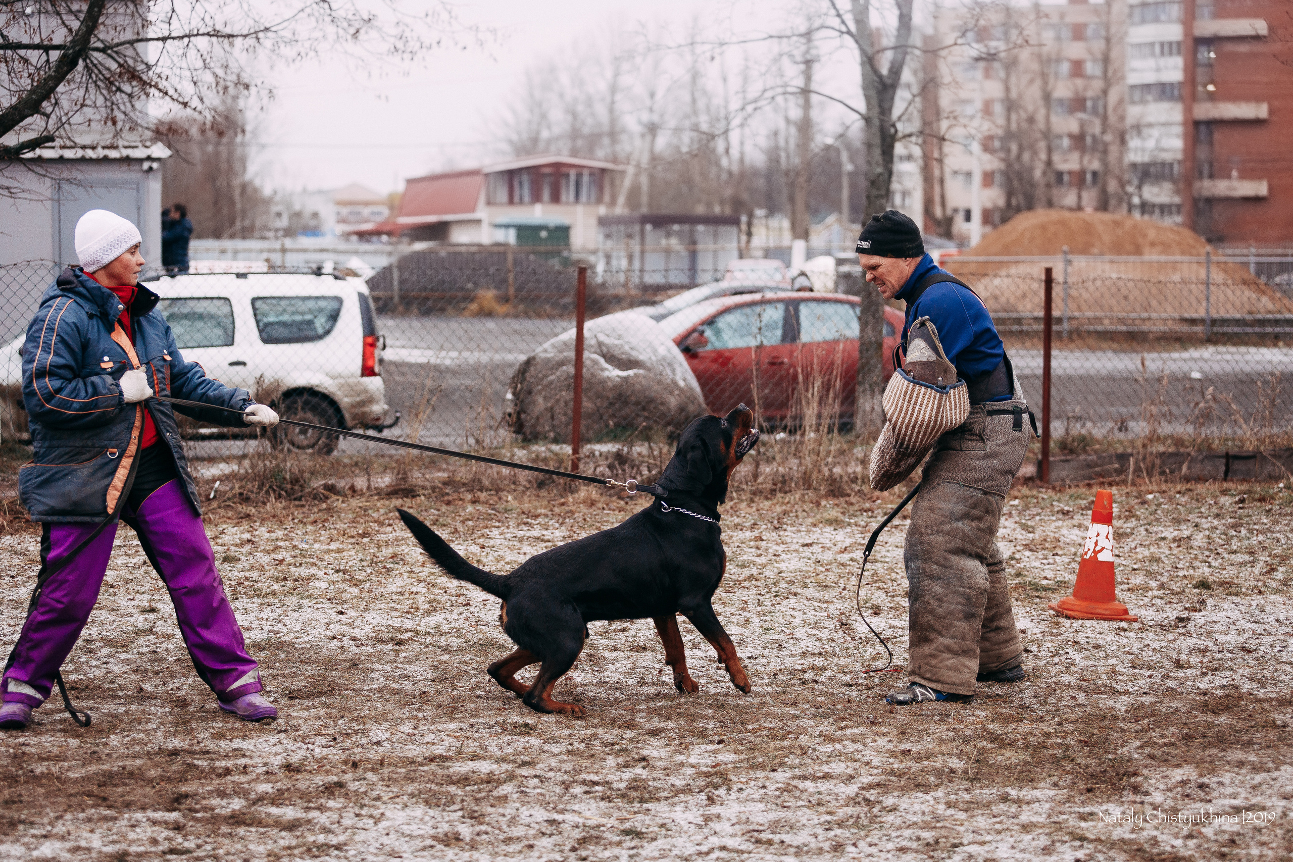 Мондьоринг в СПб. Фотограф-анималист Наталия Чистюхина в г. Сосновый Бор и ЛО