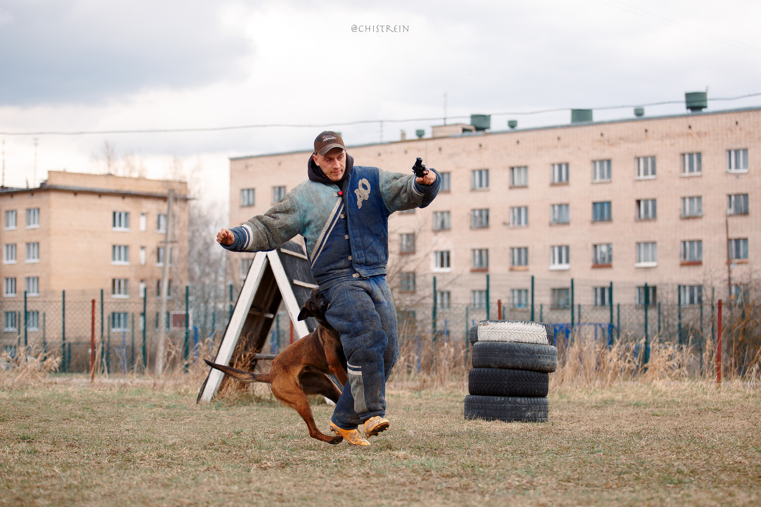Мондьоринг в СПб. Фотограф-анималист Наталия Чистюхина в г. Сосновый Бор и ЛО