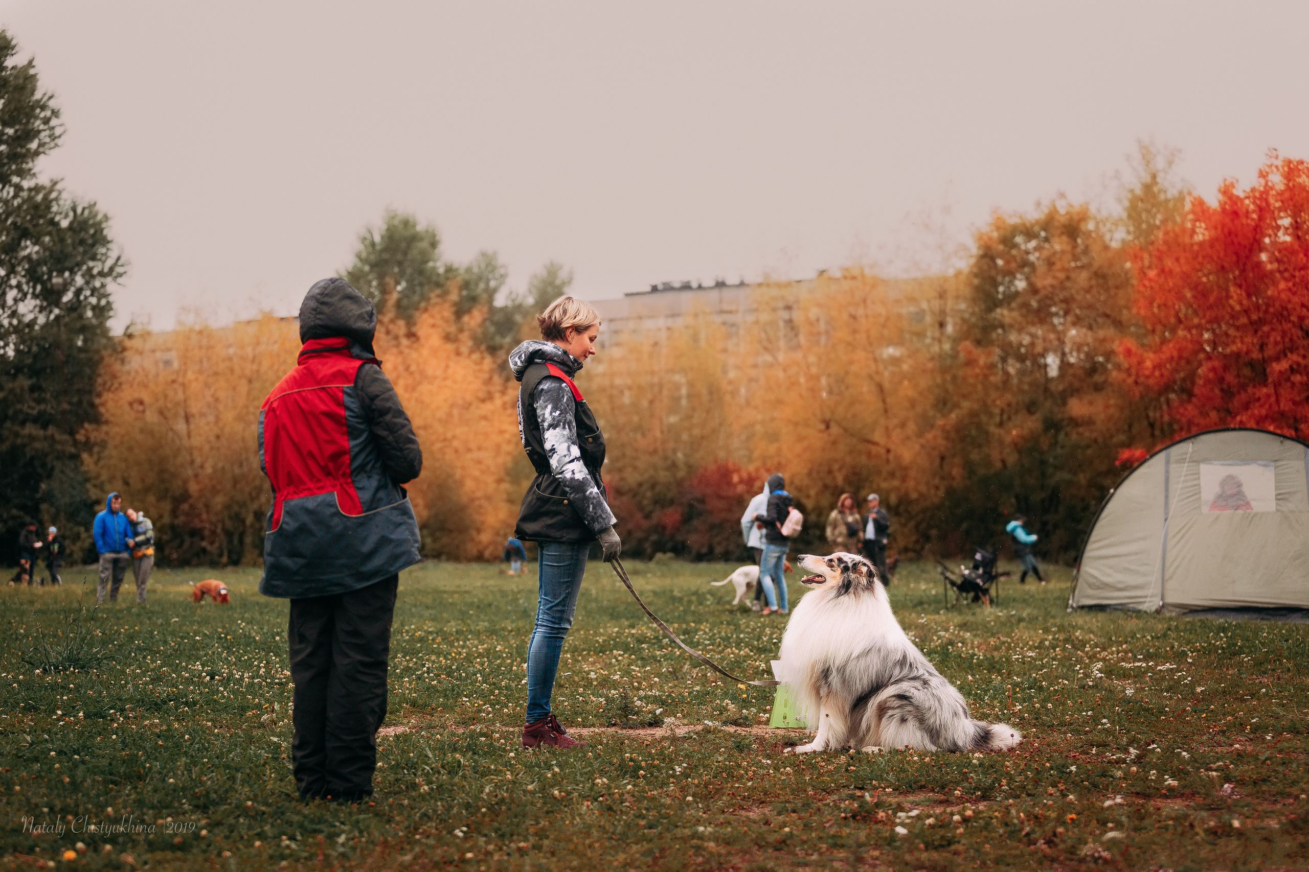 Соревнования «Петровская осень». Фотограф-анималист Наталия Чистюхина в г. Сосновый Бор и ЛО