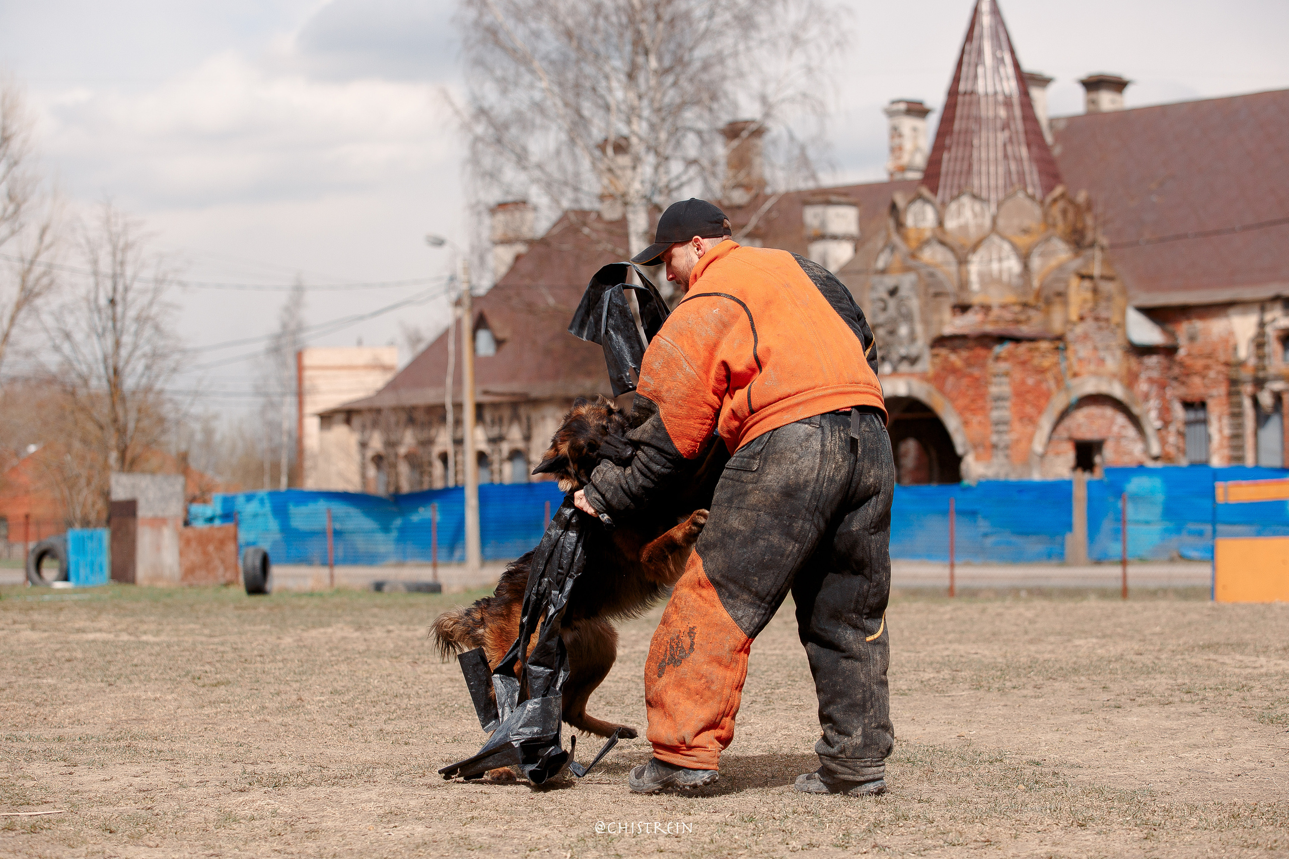 Большой Русский Ринг. Фотограф-анималист Наталия Чистюхина в г. Сосновый Бор и ЛО