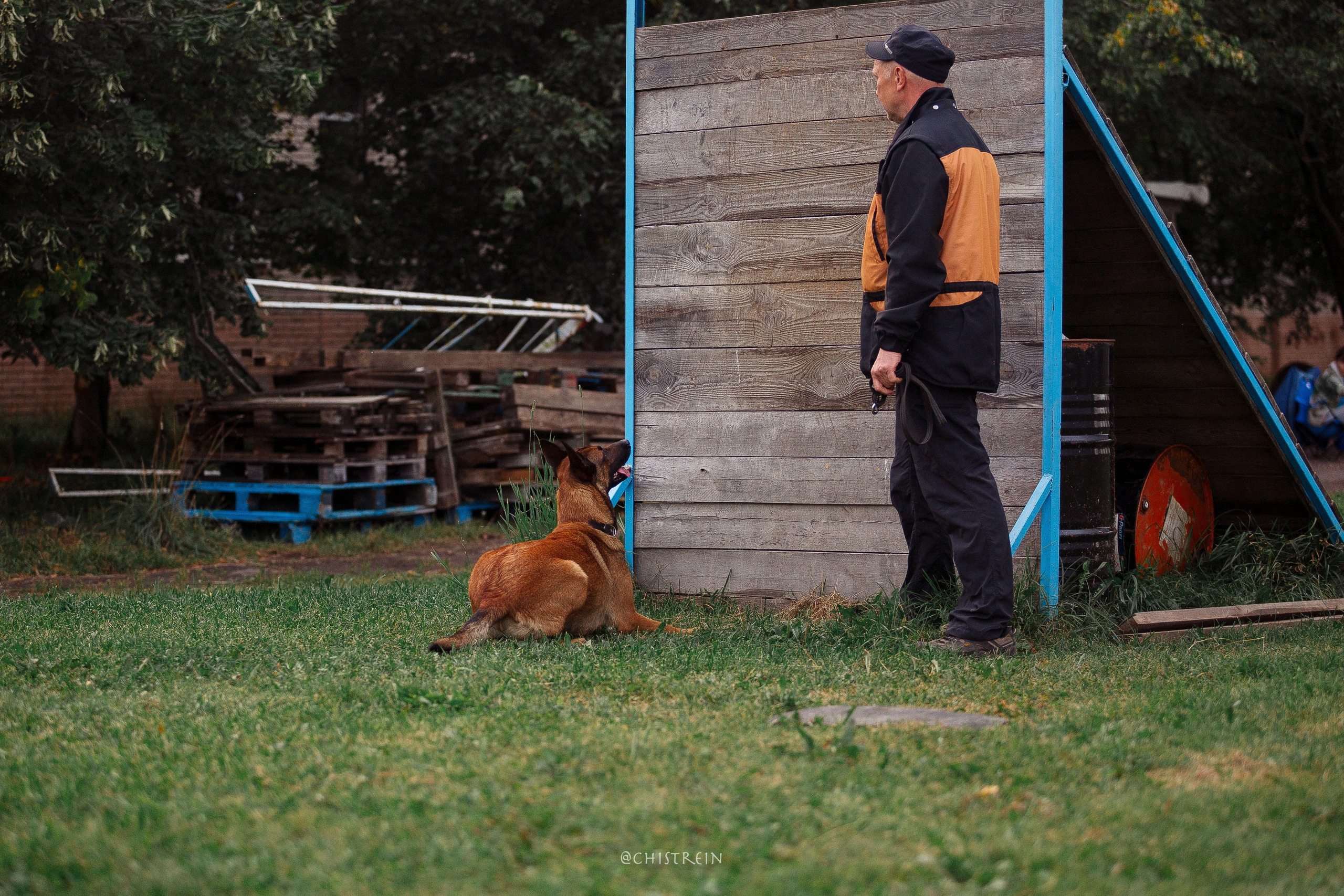 Семинары по мондио. Фотограф-анималист Наталия Чистюхина в г. Сосновый Бор и ЛО