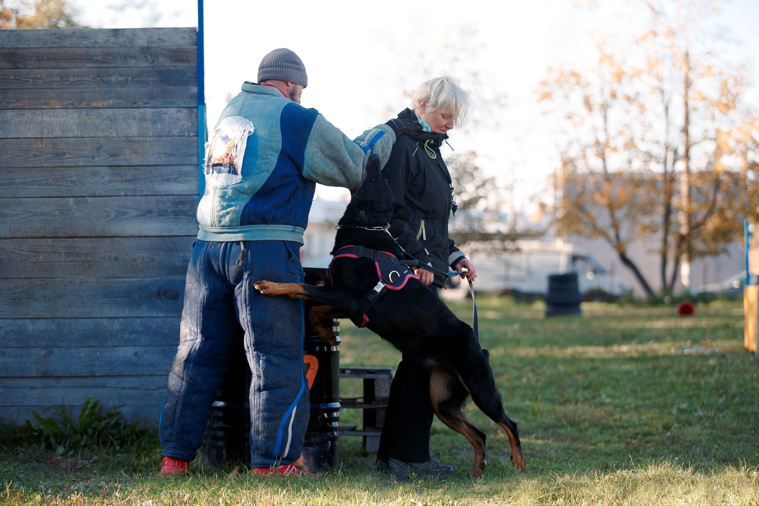 Мондьоринг в СПб. Фотограф-анималист Наталия Чистюхина в г. Сосновый Бор и ЛО