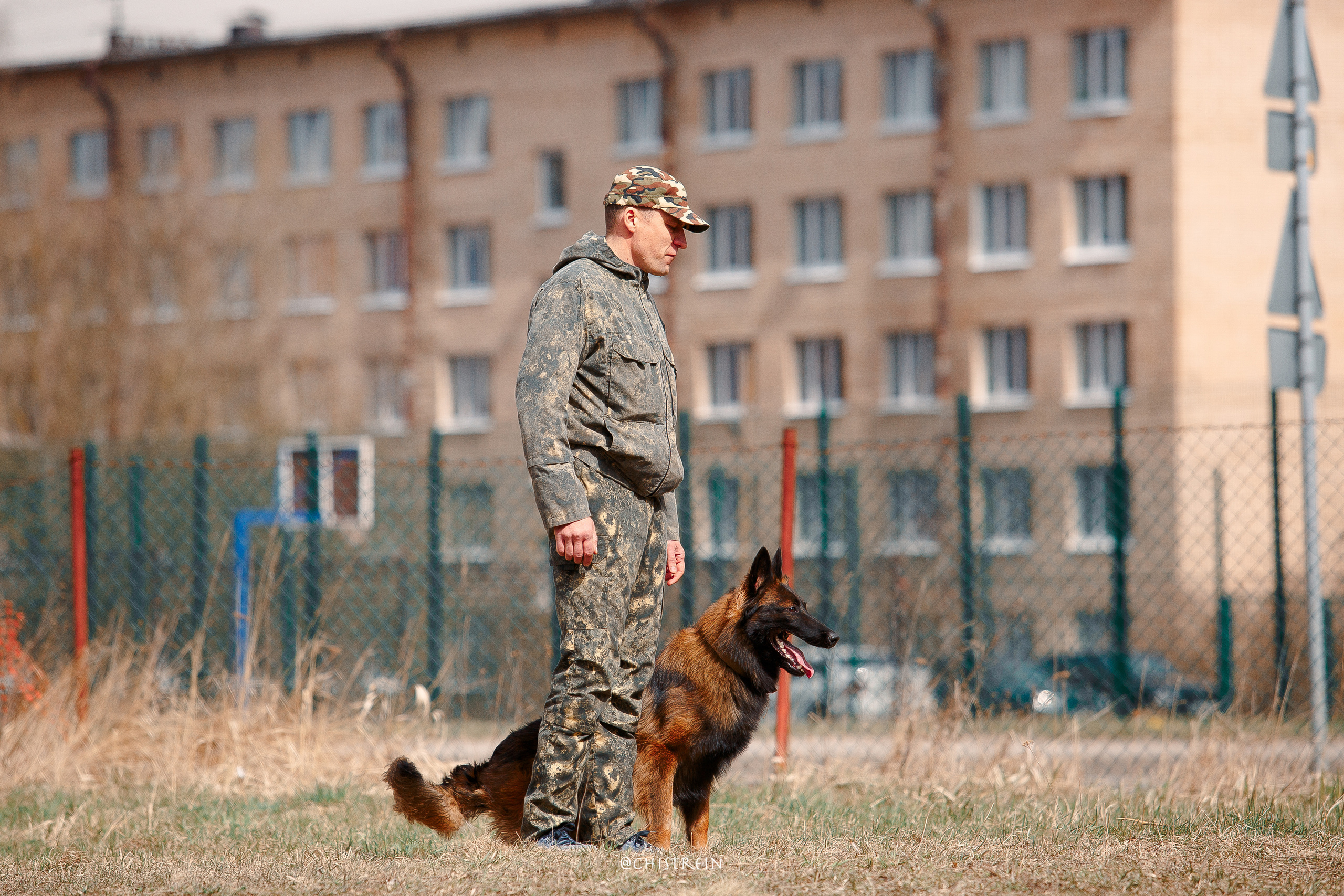 Большой Русский Ринг. Фотограф-анималист Наталия Чистюхина в г. Сосновый Бор и ЛО