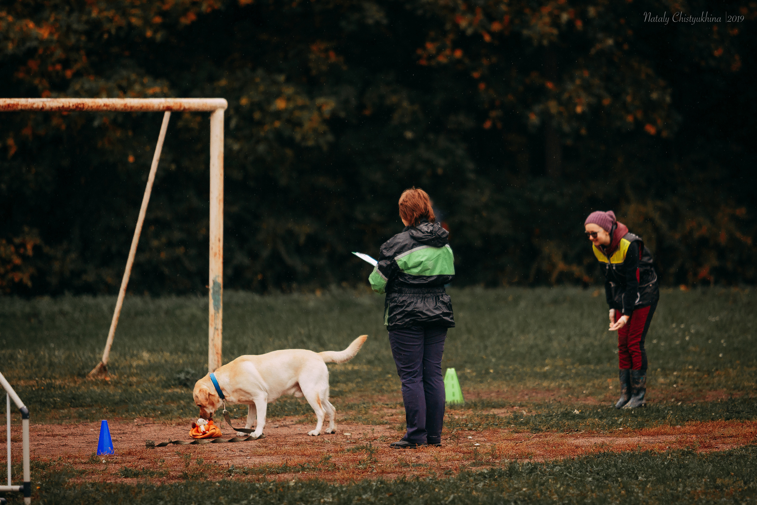 Соревнования «Петровская осень». Фотограф-анималист Наталия Чистюхина в г. Сосновый Бор и ЛО