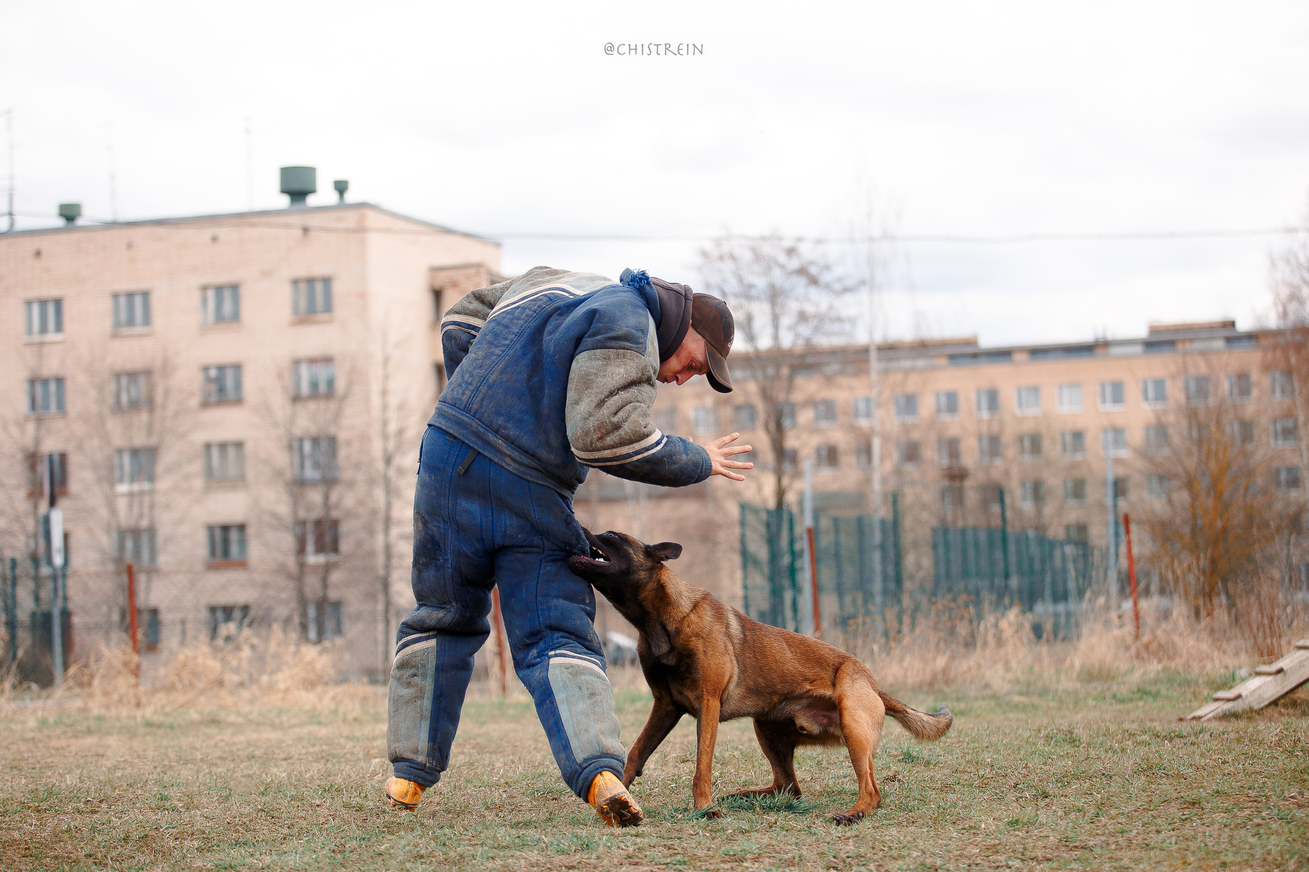 Мондьоринг в СПб. Фотограф-анималист Наталия Чистюхина в г. Сосновый Бор и ЛО