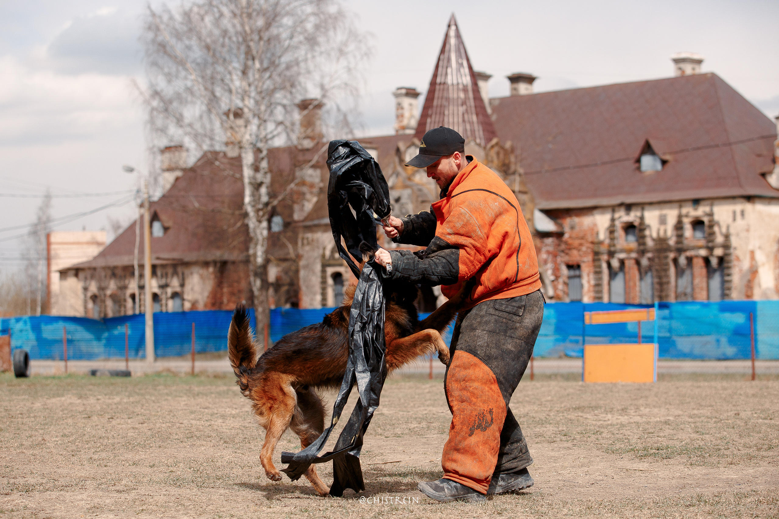 Большой Русский Ринг. Фотограф-анималист Наталия Чистюхина в г. Сосновый Бор и ЛО