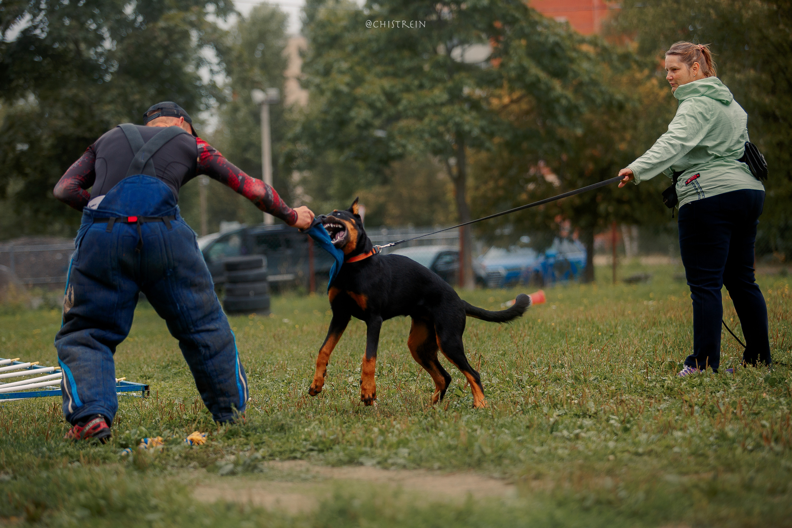 Мондьоринг в СПб. Фотограф-анималист Наталия Чистюхина в г. Сосновый Бор и ЛО