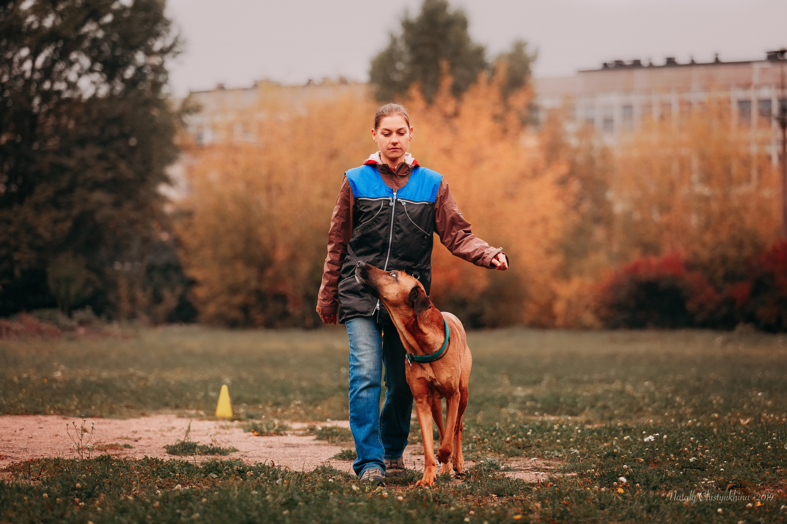 Соревнования «Петровская осень». Фотограф-анималист Наталия Чистюхина в г. Сосновый Бор и ЛО