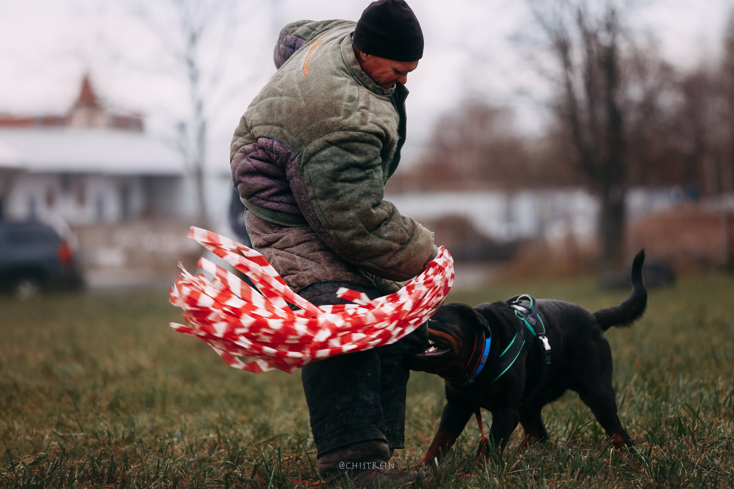 Мондьоринг в СПб. Фотограф-анималист Наталия Чистюхина в г. Сосновый Бор и ЛО
