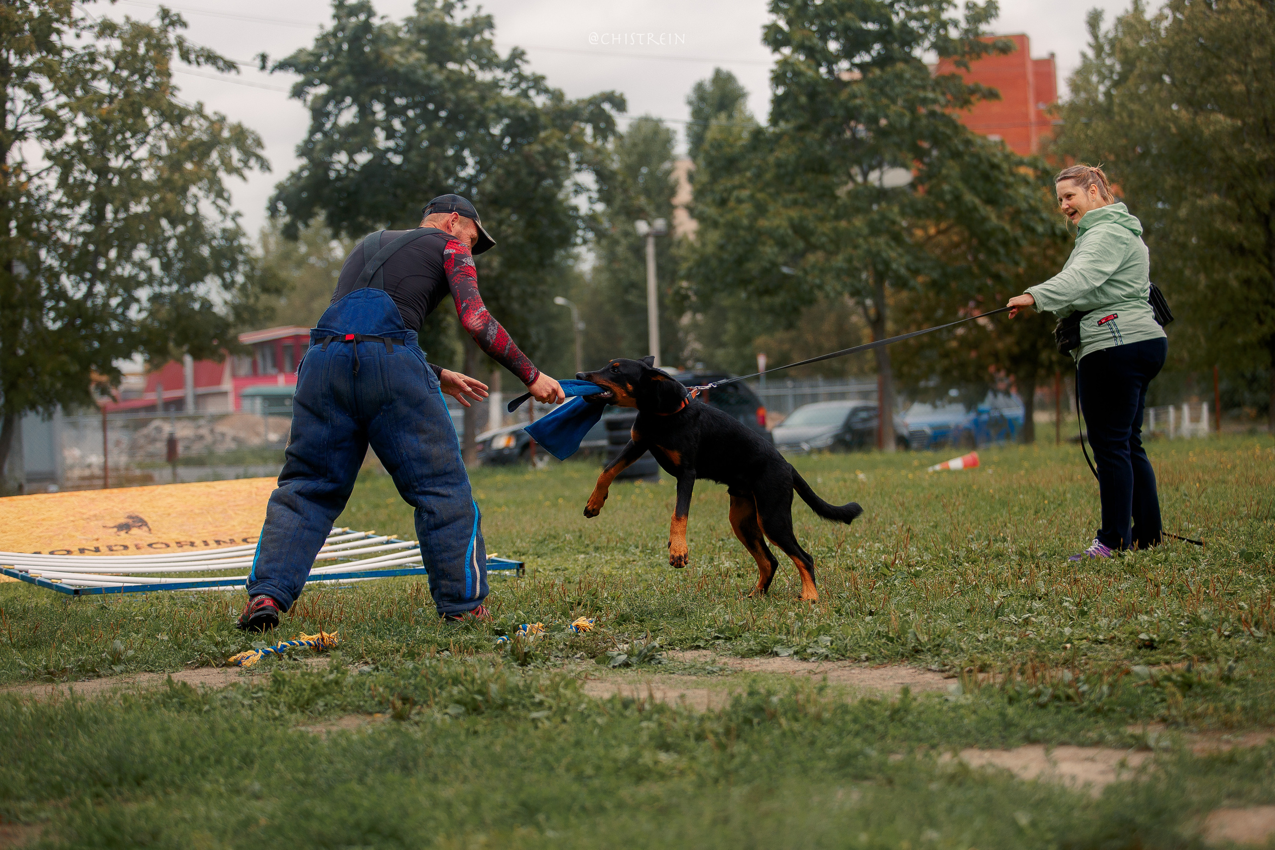 Мондьоринг в СПб. Фотограф-анималист Наталия Чистюхина в г. Сосновый Бор и ЛО
