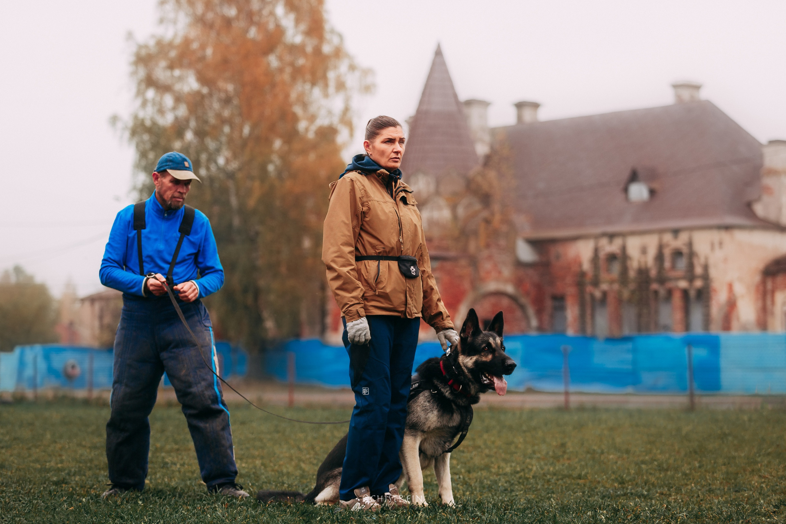 Большой Русский Ринг. Фотограф-анималист Наталия Чистюхина в г. Сосновый Бор и ЛО
