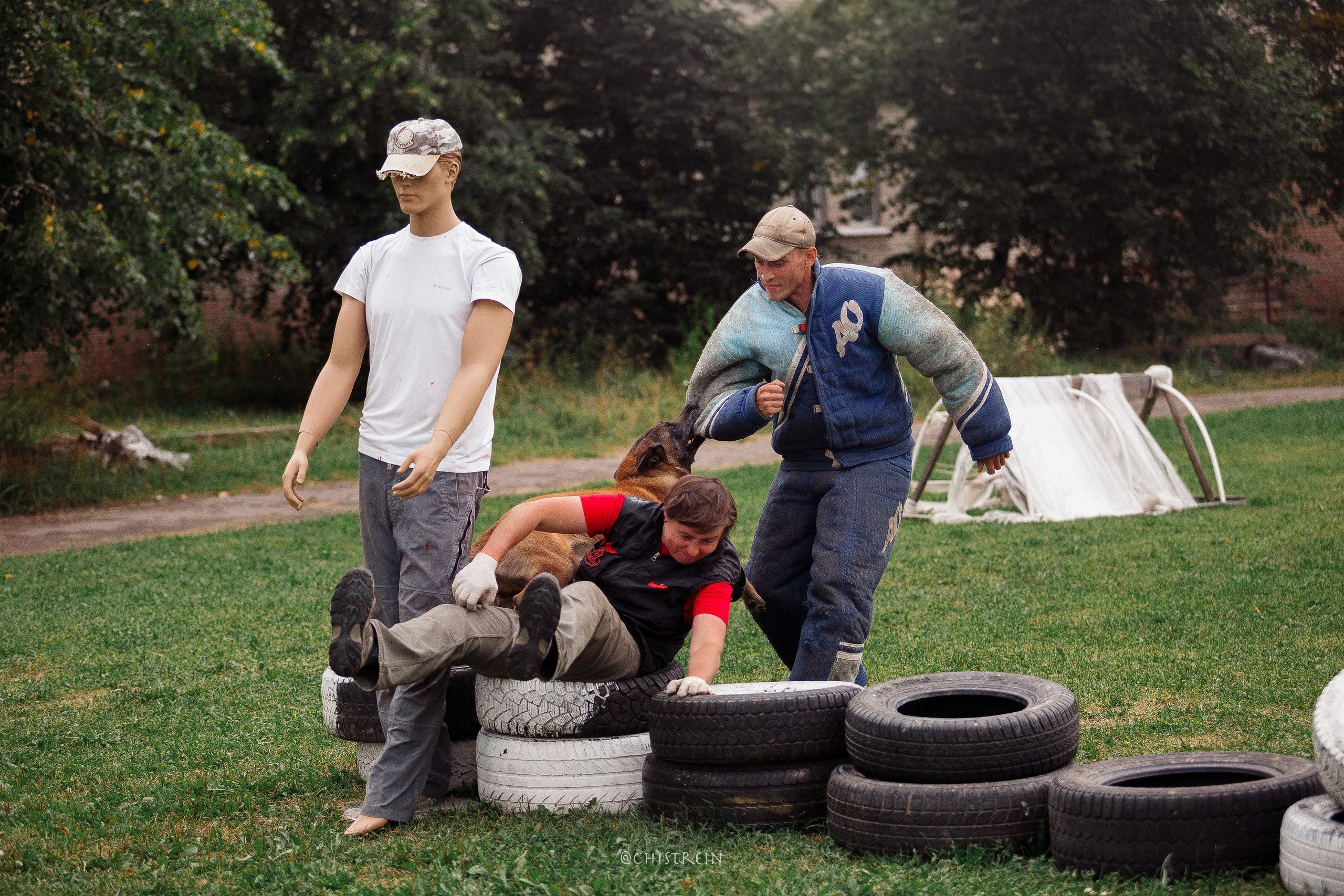 Семинары по мондио. Фотограф-анималист Наталия Чистюхина в г. Сосновый Бор и ЛО