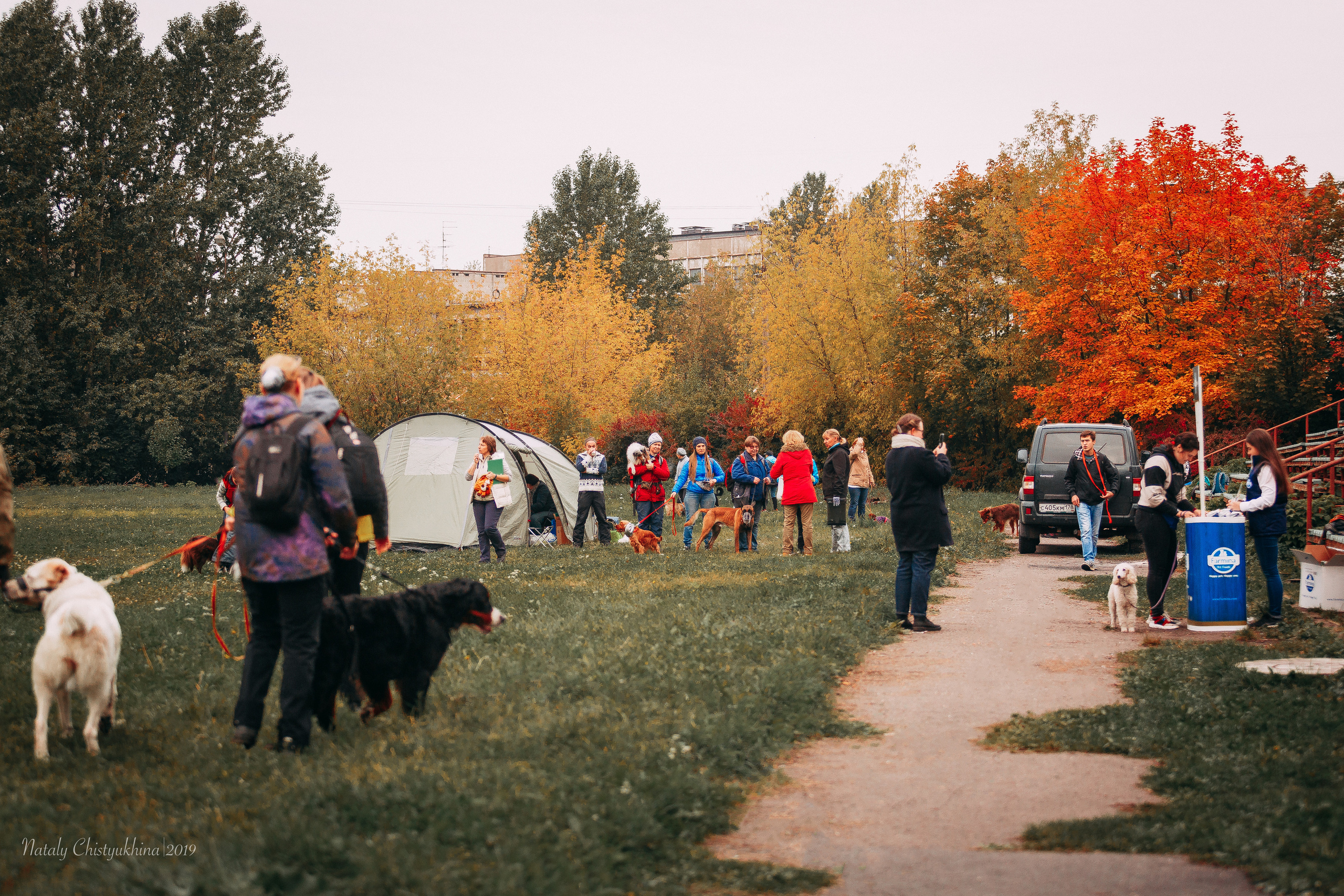 Соревнования «Петровская осень». Фотограф-анималист Наталия Чистюхина в г. Сосновый Бор и ЛО