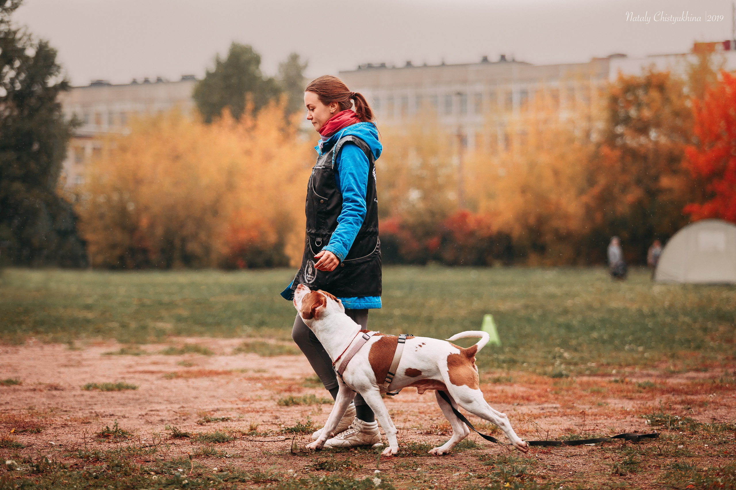 Соревнования «Петровская осень». Фотограф-анималист Наталия Чистюхина в г. Сосновый Бор и ЛО