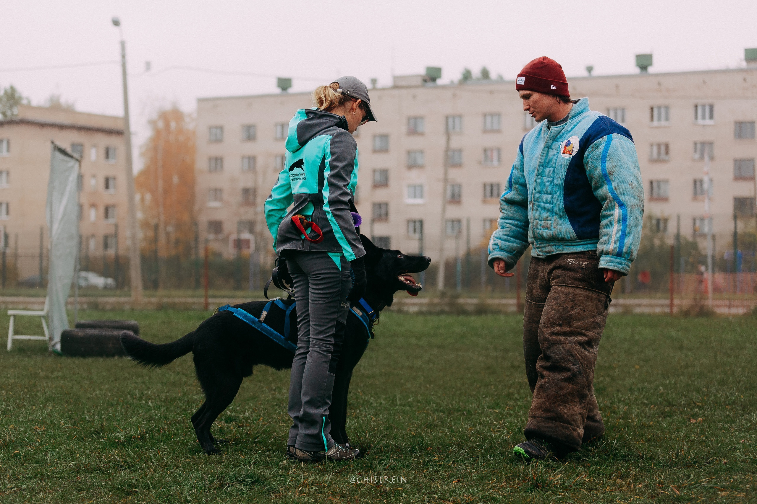 Мондьоринг в СПб. Фотограф-анималист Наталия Чистюхина в г. Сосновый Бор и ЛО