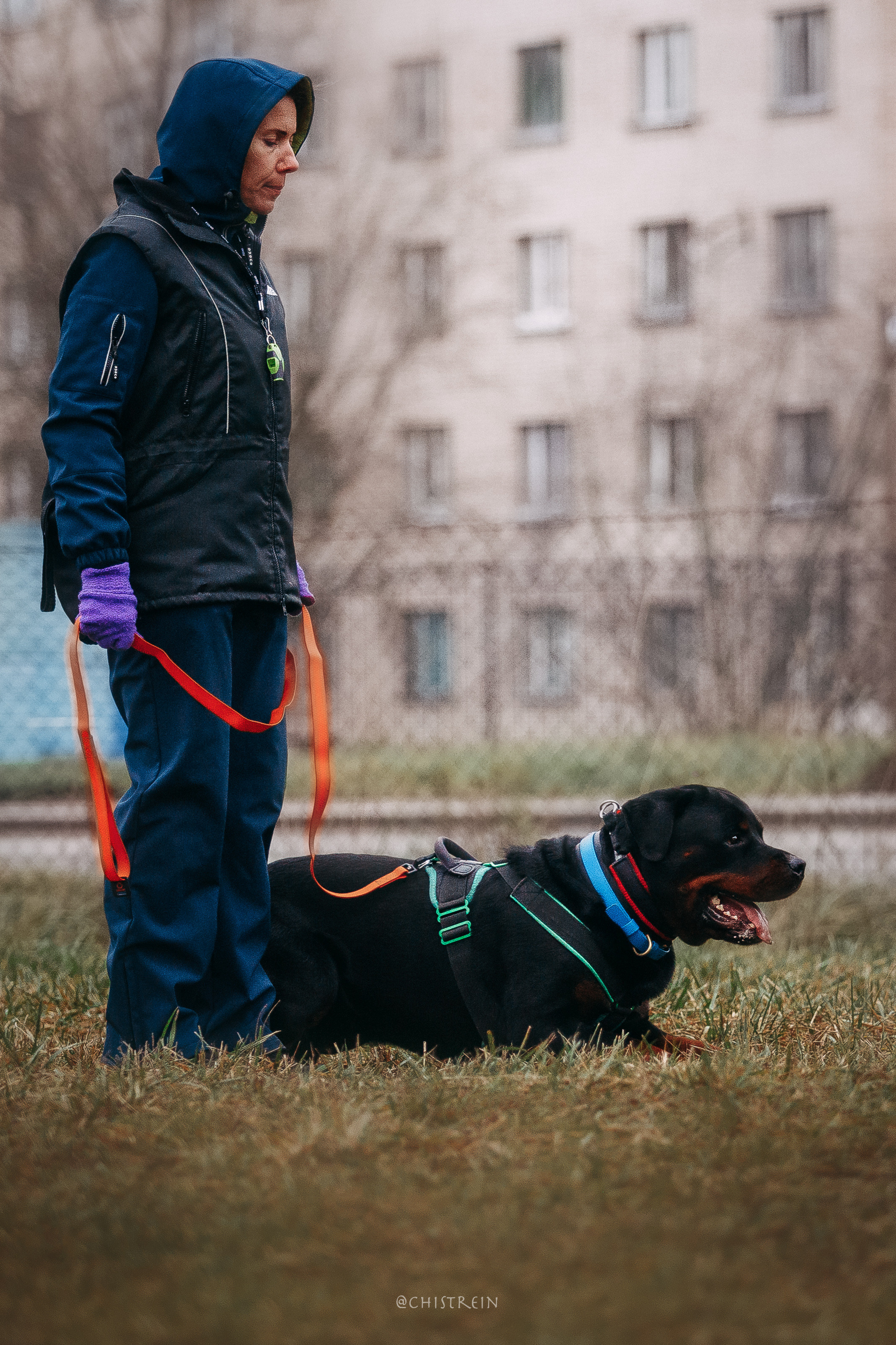 Мондьоринг в СПб. Фотограф-анималист Наталия Чистюхина в г. Сосновый Бор и ЛО