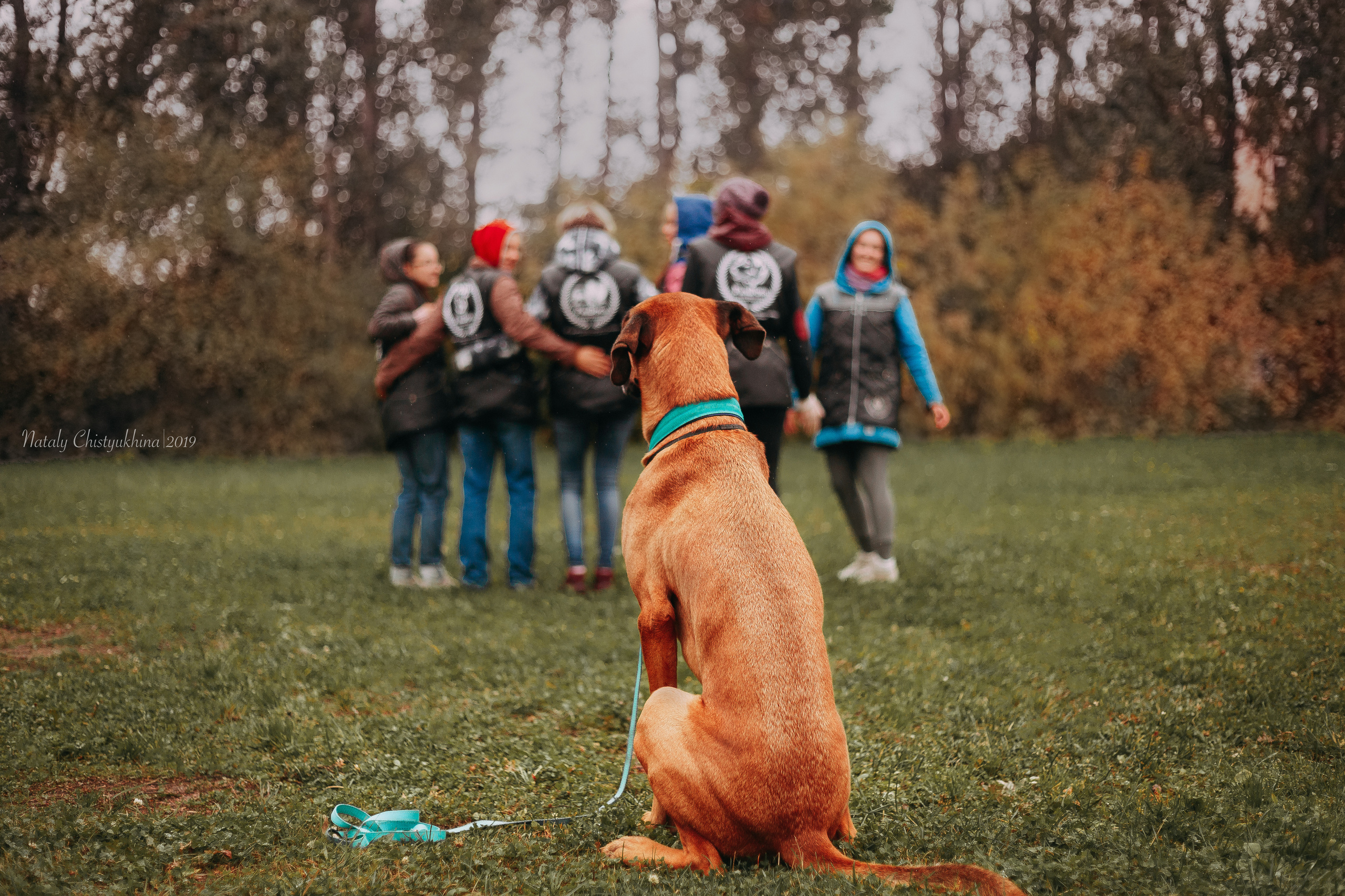 Соревнования «Петровская осень». Фотограф-анималист Наталия Чистюхина в г. Сосновый Бор и ЛО