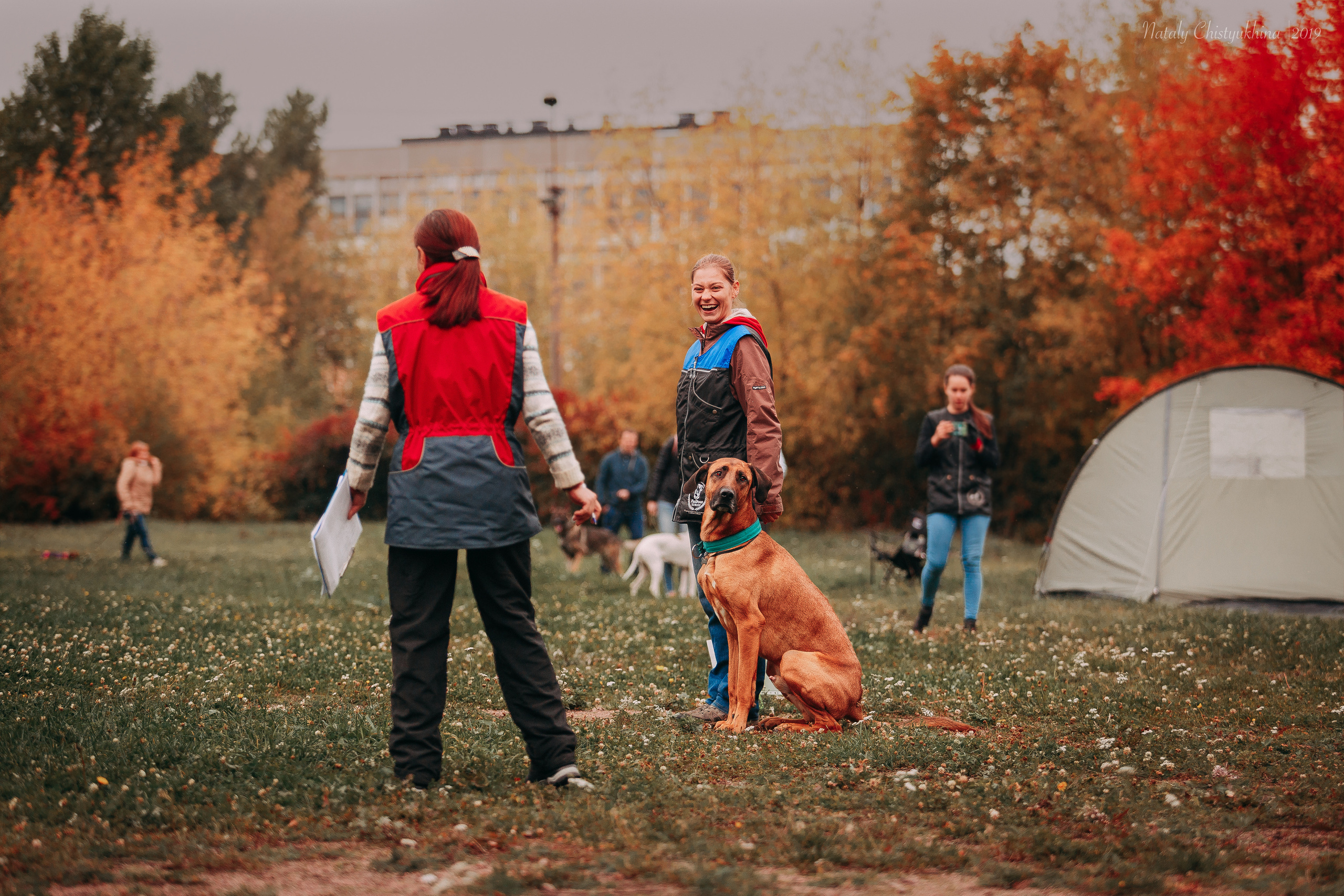 Соревнования «Петровская осень». Фотограф-анималист Наталия Чистюхина в г. Сосновый Бор и ЛО