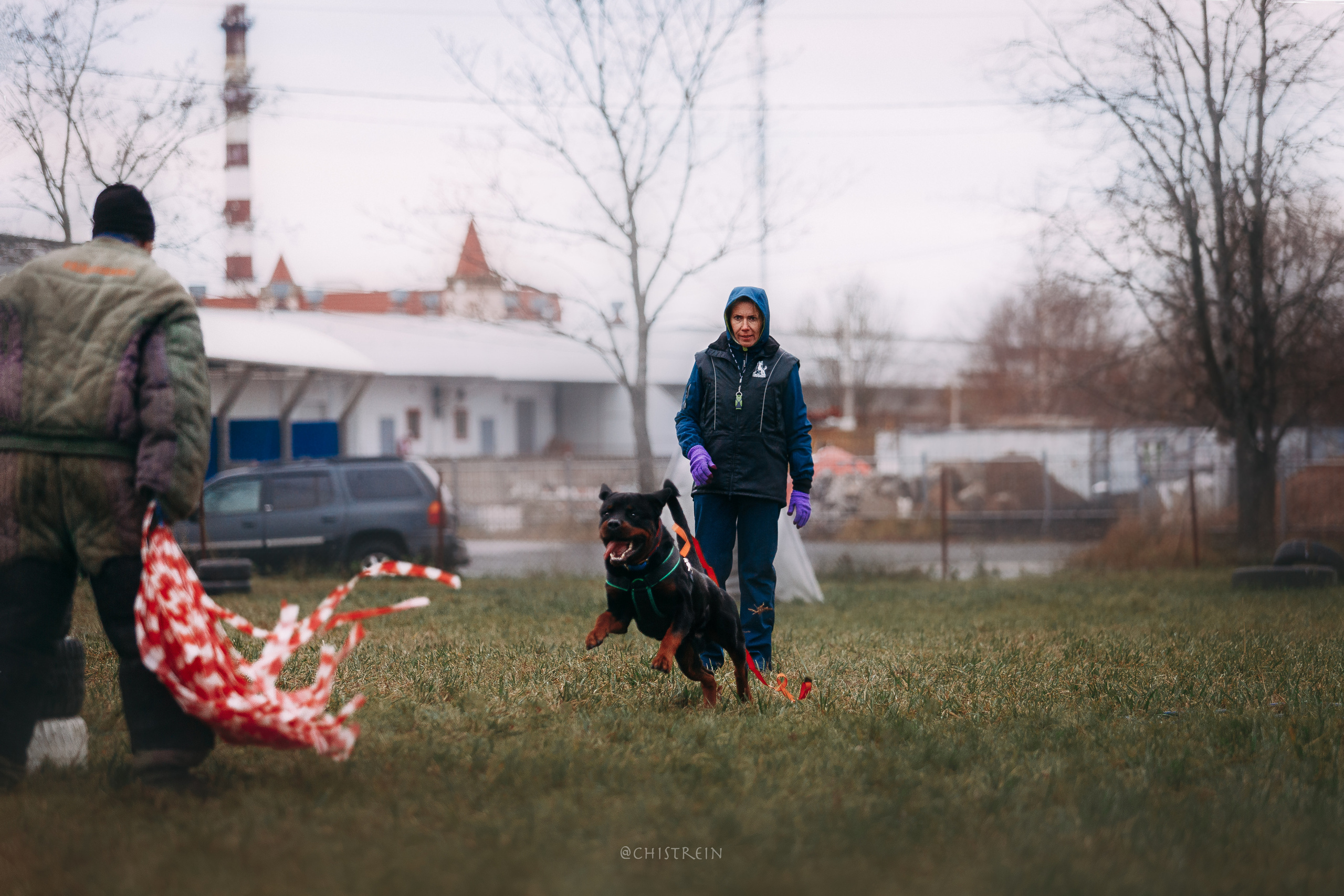 Мондьоринг в СПб. Фотограф-анималист Наталия Чистюхина в г. Сосновый Бор и ЛО