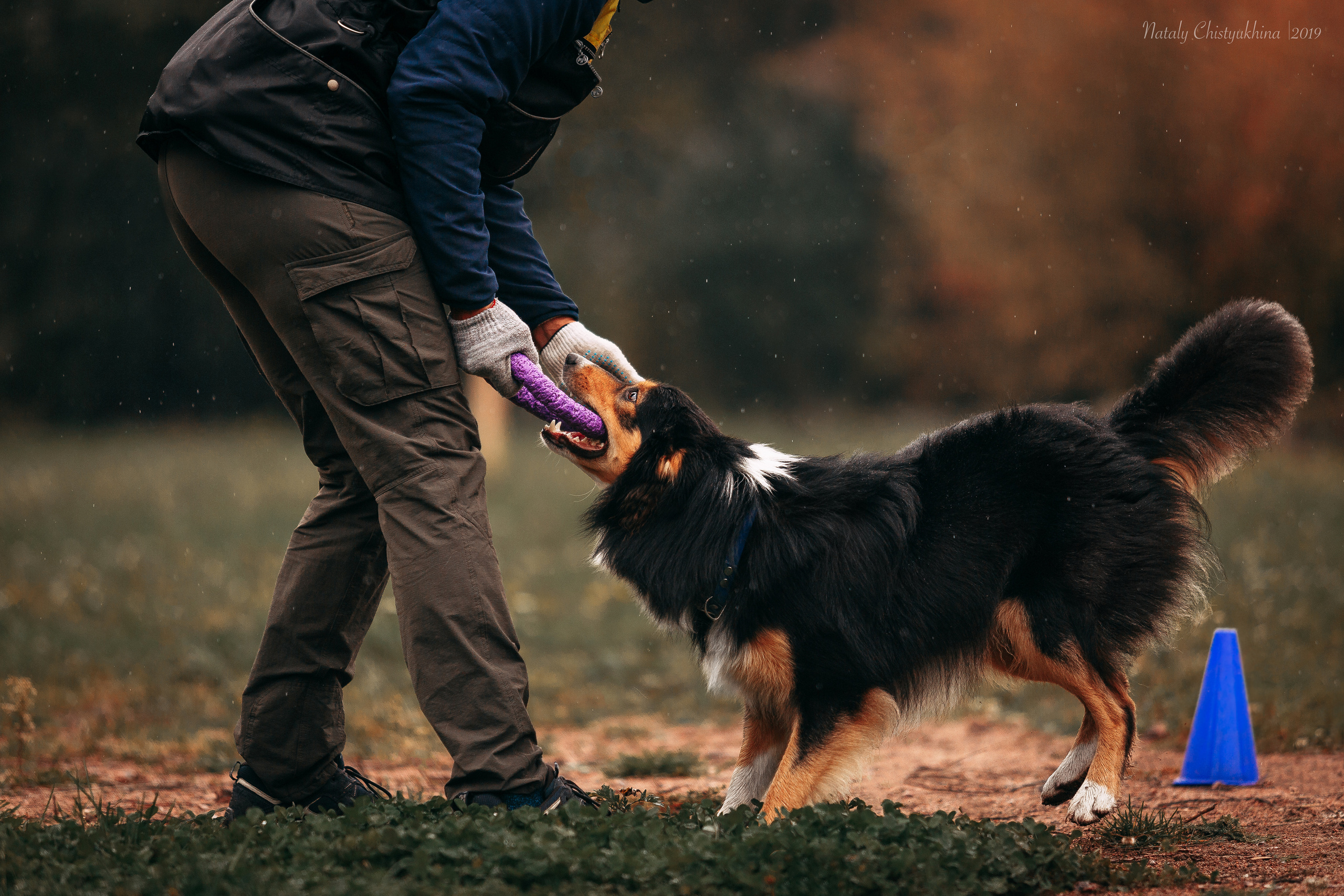 Соревнования «Петровская осень». Фотограф-анималист Наталия Чистюхина в г. Сосновый Бор и ЛО