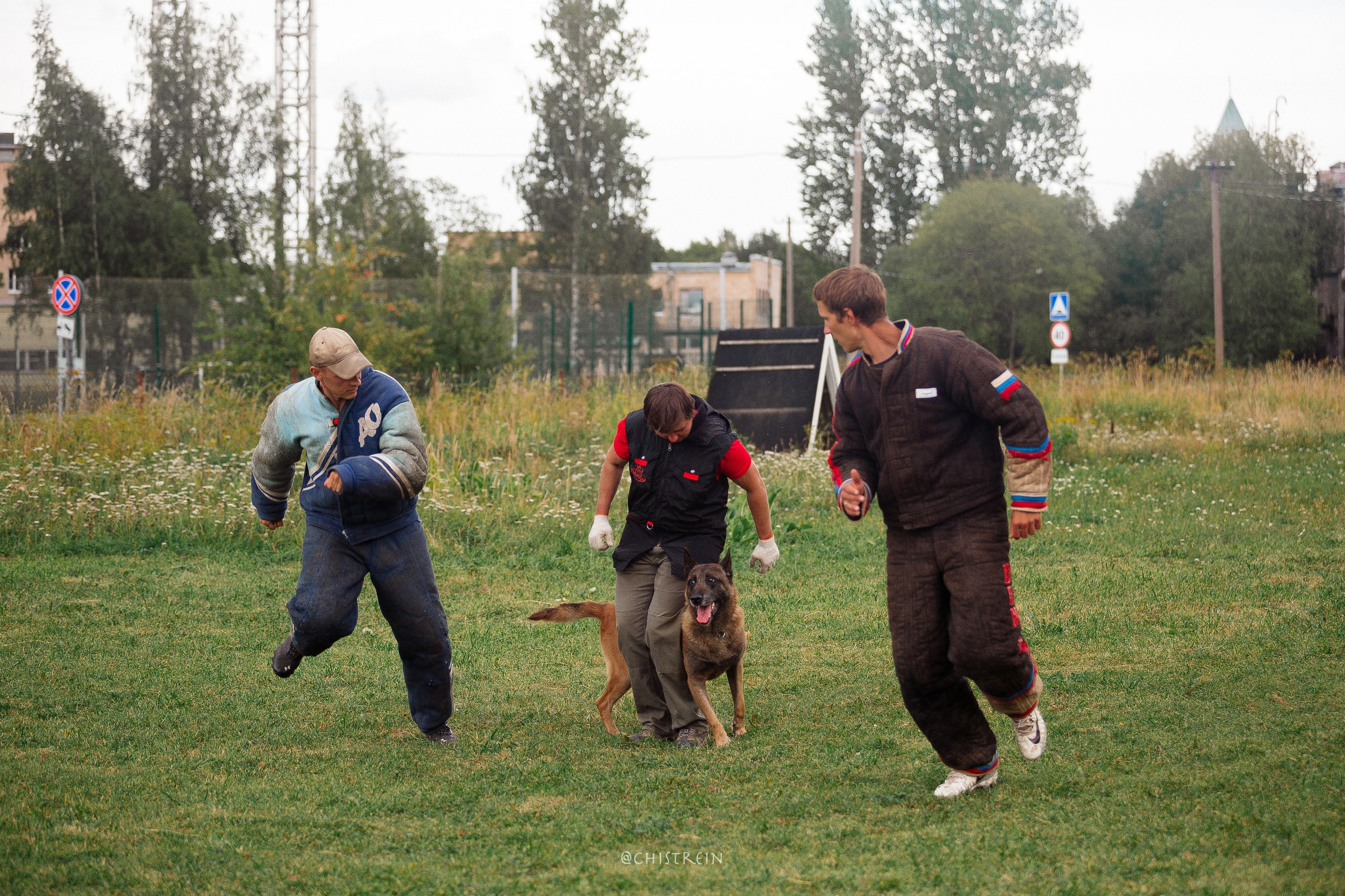 Семинары по мондио. Фотограф-анималист Наталия Чистюхина в г. Сосновый Бор и ЛО