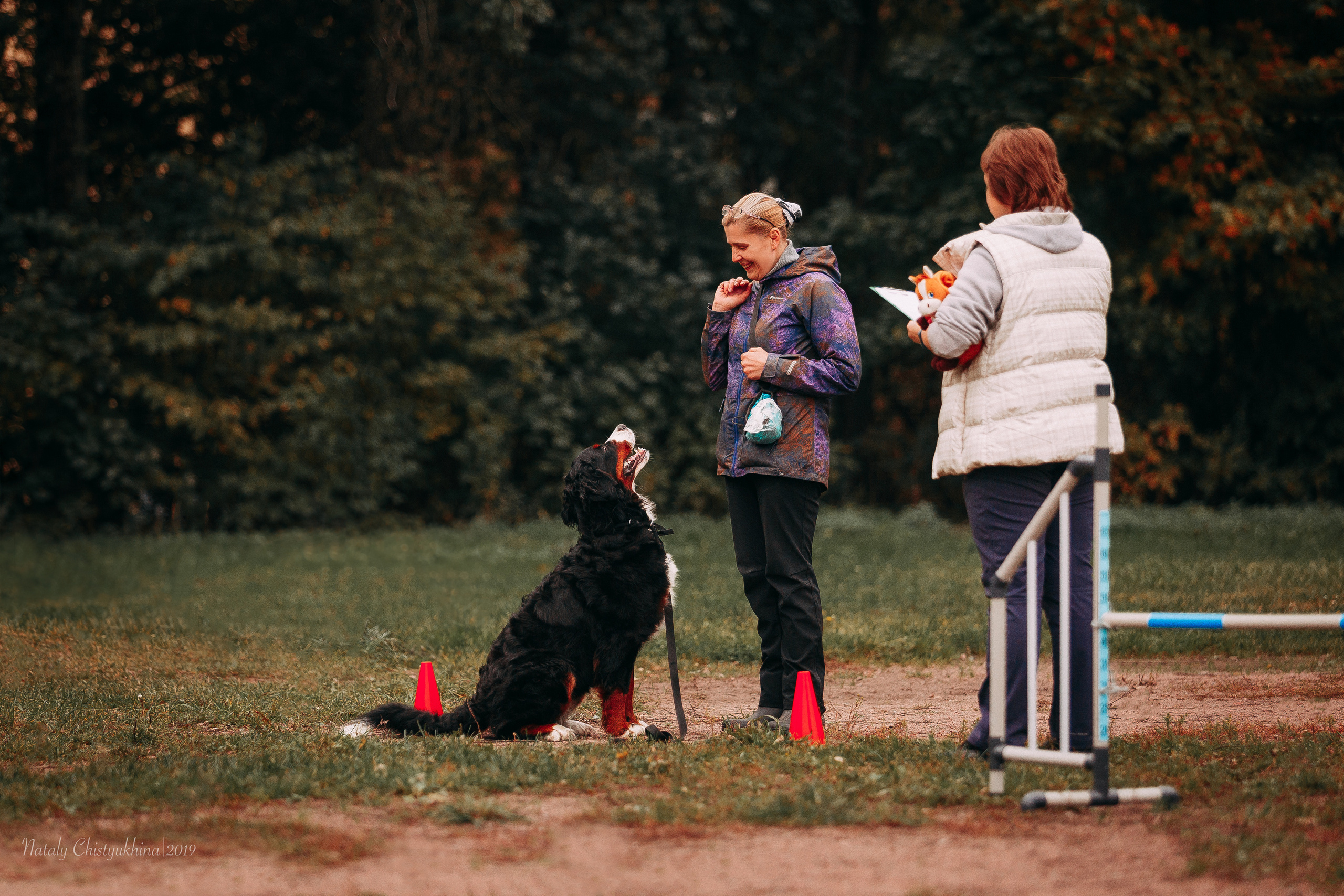 Соревнования «Петровская осень». Фотограф-анималист Наталия Чистюхина в г. Сосновый Бор и ЛО
